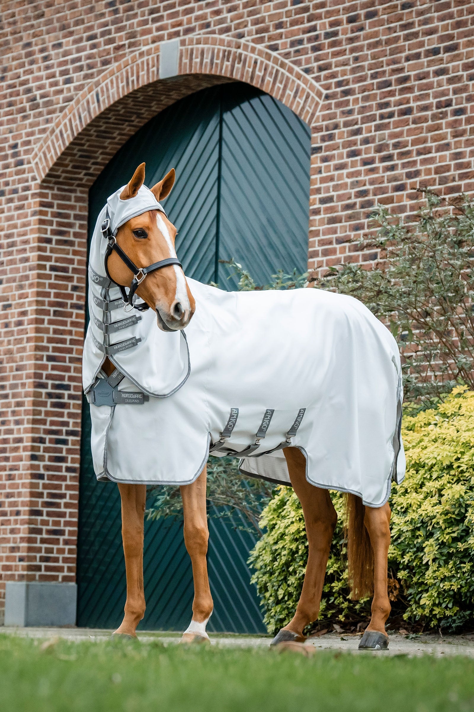 Horseware Amigo Ripstop Couverture anti-mouches Couvertures cheval