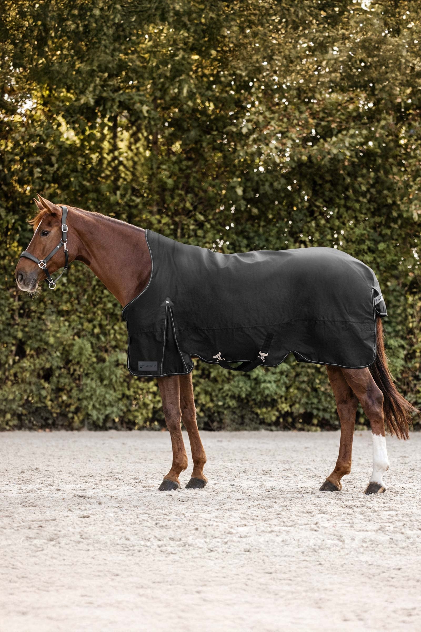 Waldhausen Arctic Couverture d'extérieur avec encolure haute, 0 g Couvertures cheval