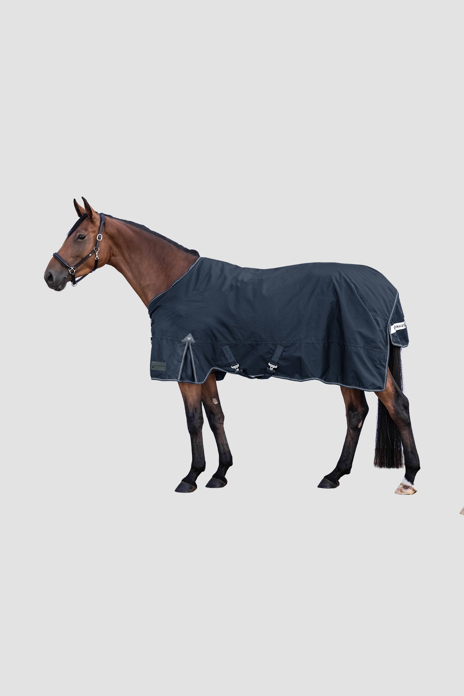 Waldhausen Arctic Outdoor Rug, 100 g Couvertures cheval