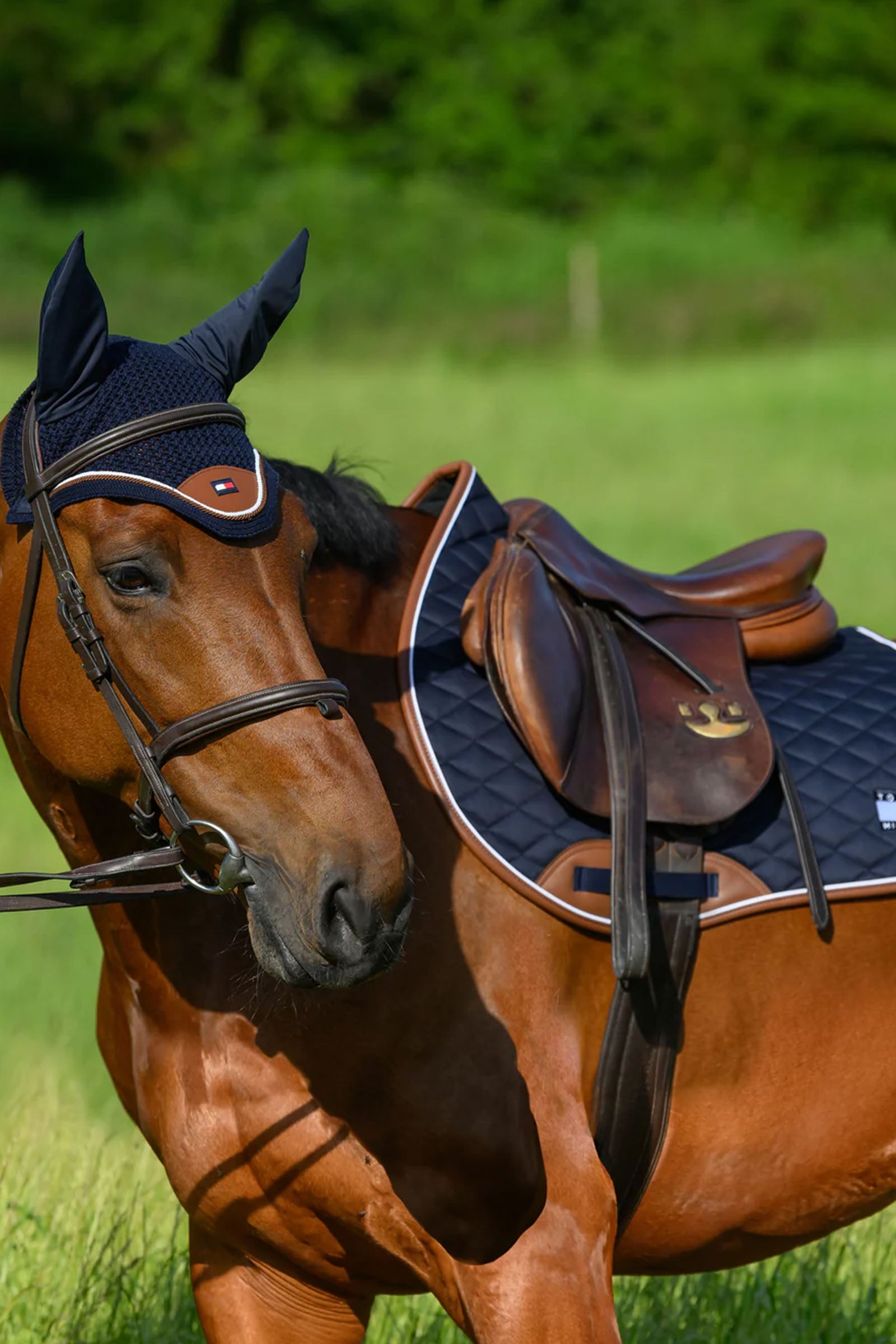 Tommy Hilfiger Equestrian Princeton Fly Hood Saddle Pads