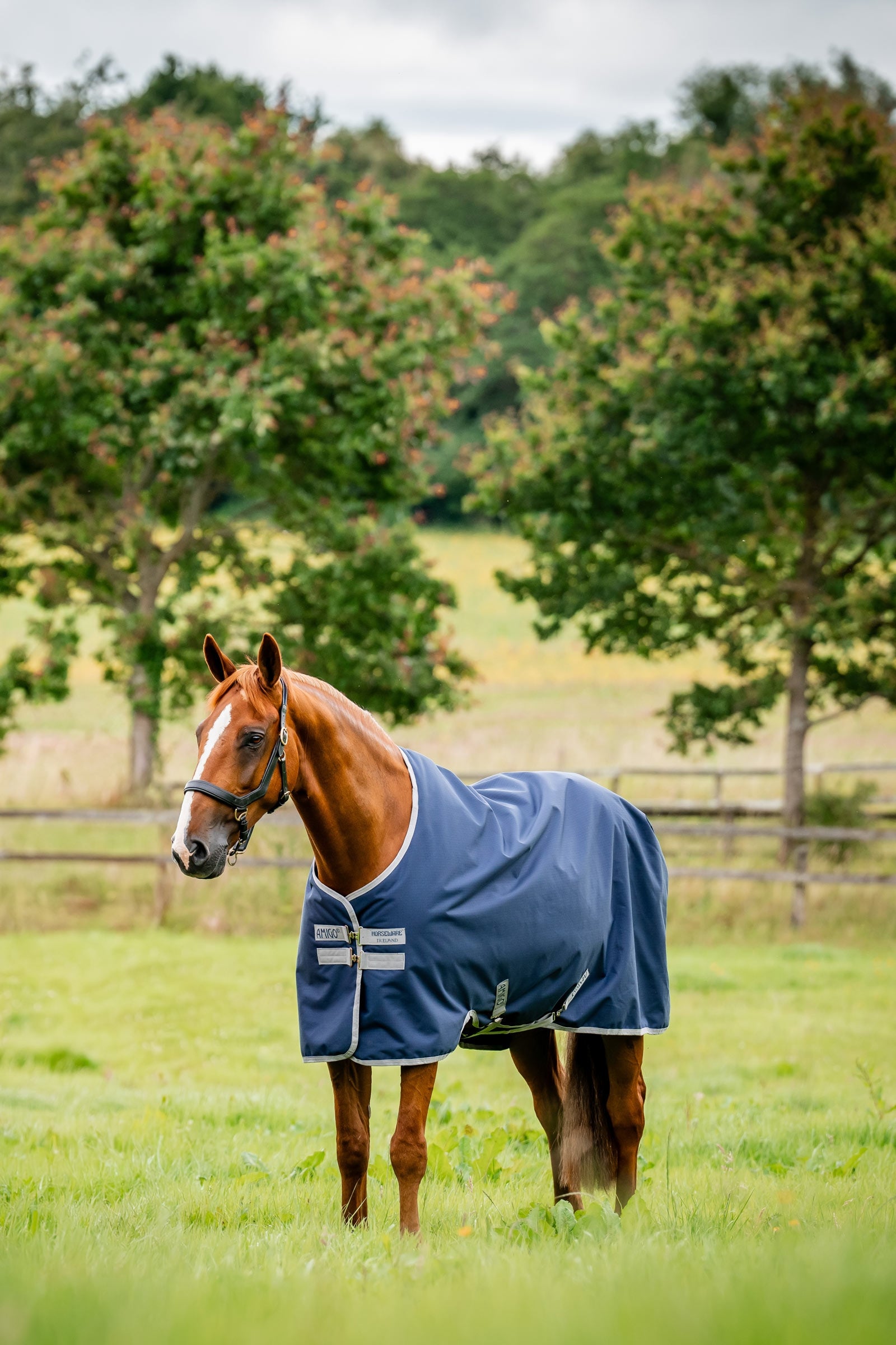 Horseware Amigo Couverture d'extérieur Ripstop 900D, 0g Couvertures cheval