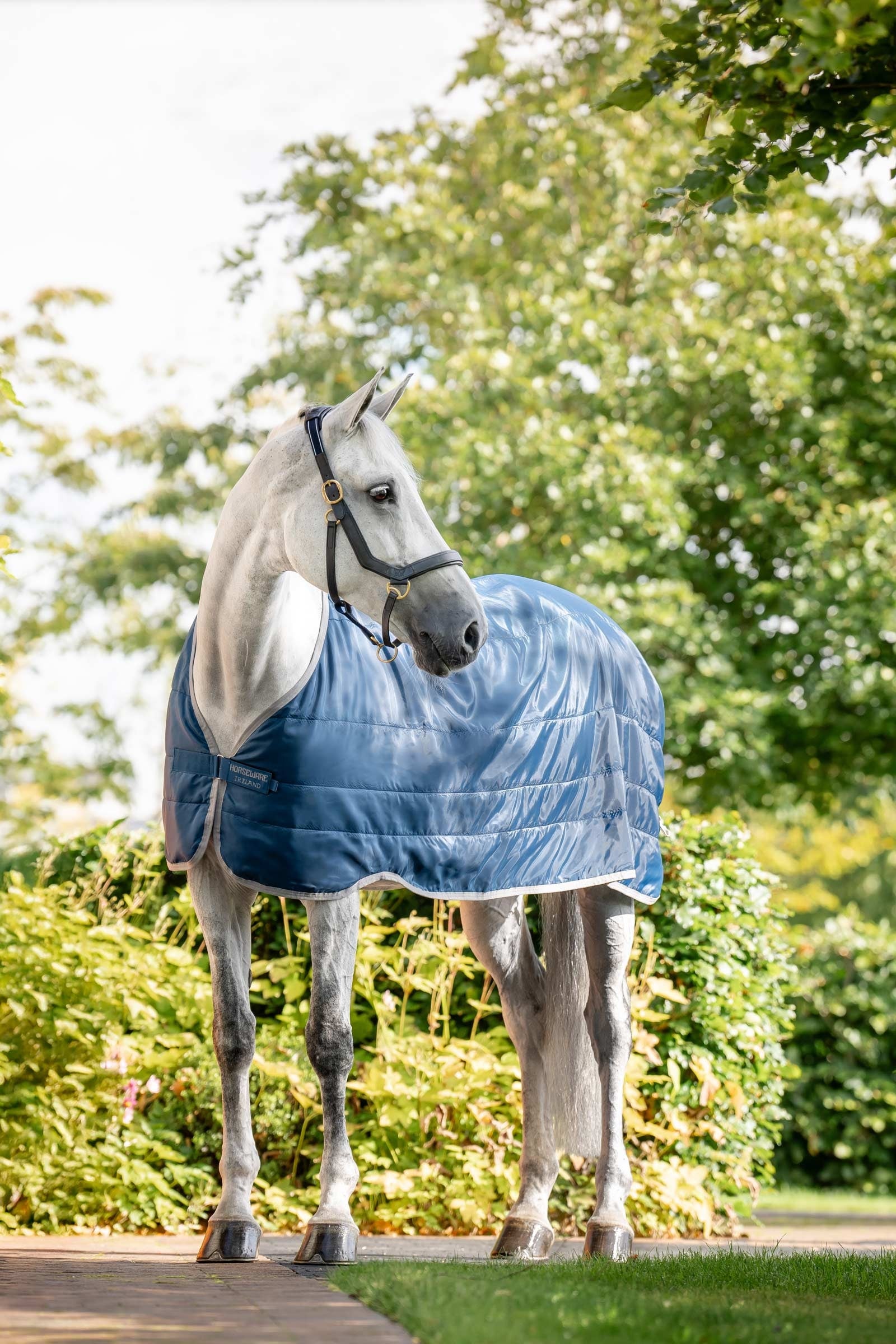 Horseware Ionic Therapy Doublure 50g Couvertures cheval