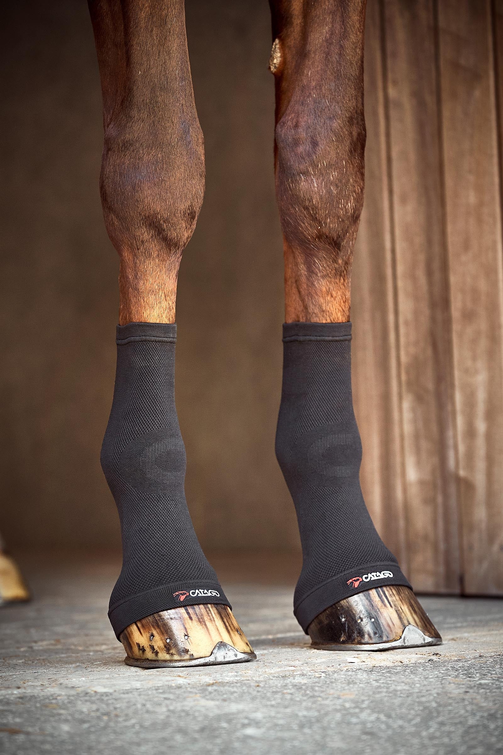 Catago Chaussettes boulets FIR-Tech Leg Protection & Hoof Protection for Horses
