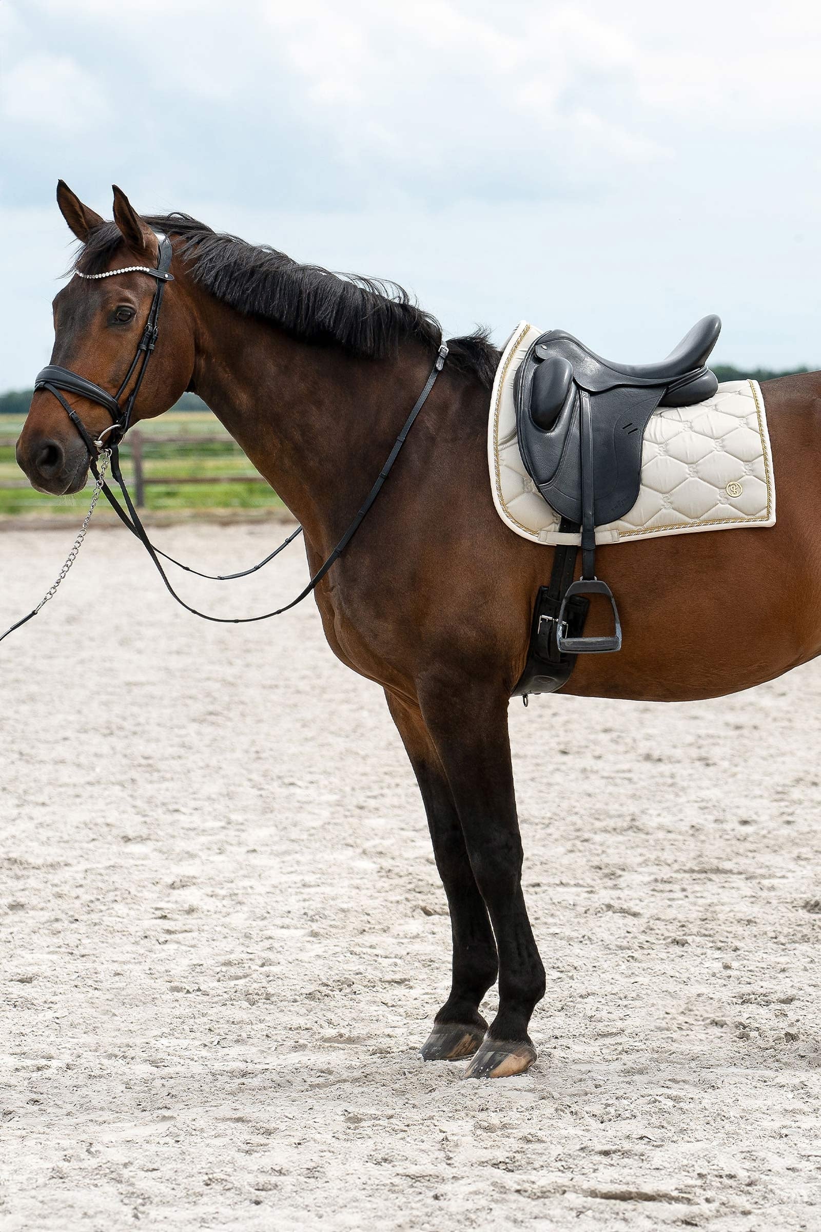 PS of Sweden Saddle Pad Dressage Signature Saddle Pads