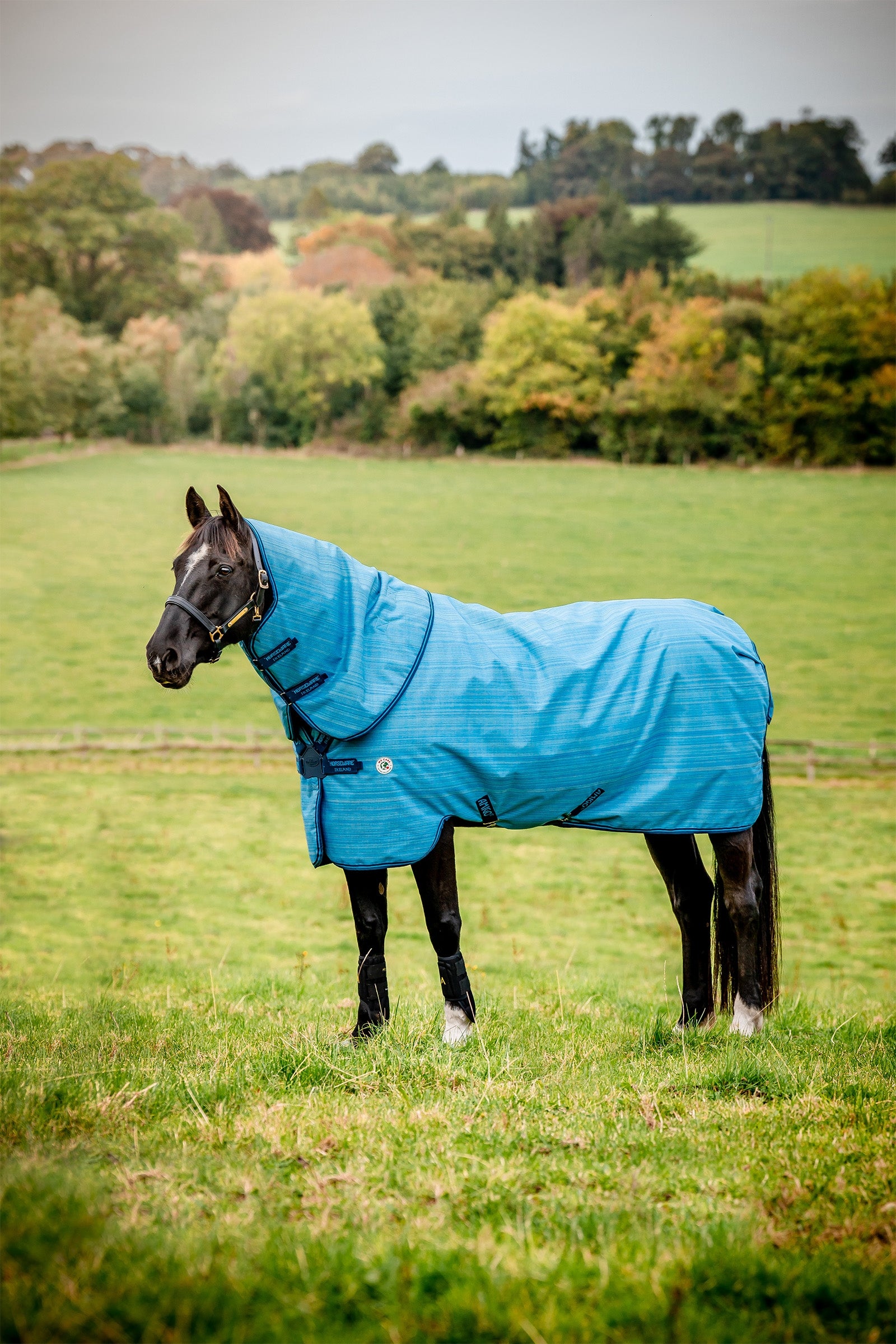 Horseware Amigo Hero 900 Revive Plus couverture d’extérieur avec encolure amovible, 50 g Couvertures cheval
