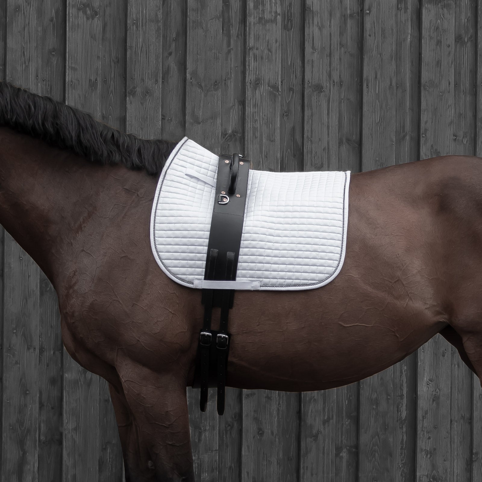 Corde lisse Voltige® Noire 8m - Voltige Corde lisse Voltige® Noire 8m - Voltige