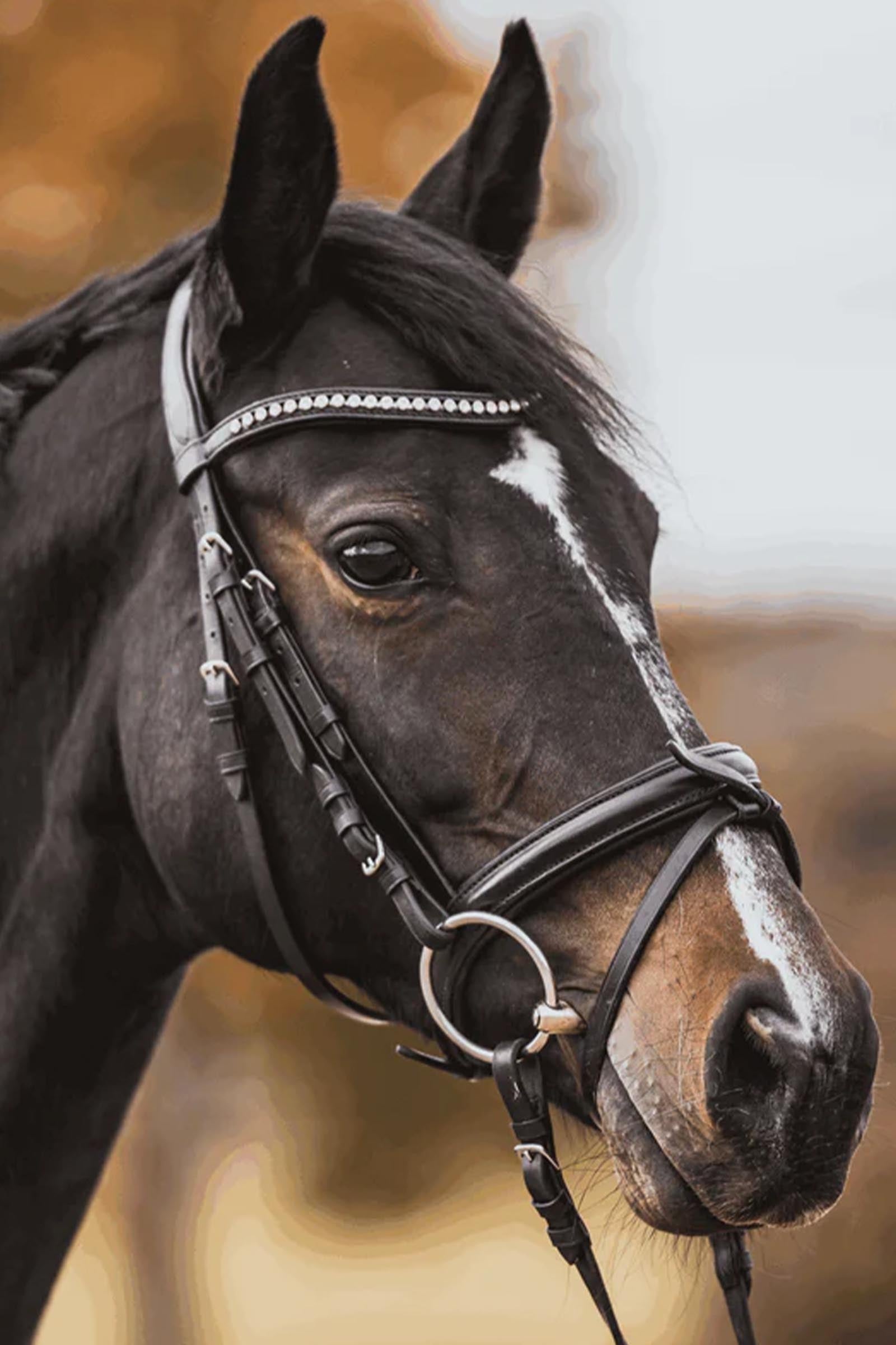 Sprenger KK Ultra Loose Ring Snaffle Bit, Double Jt. 12mm, Sensogan Horse Bits