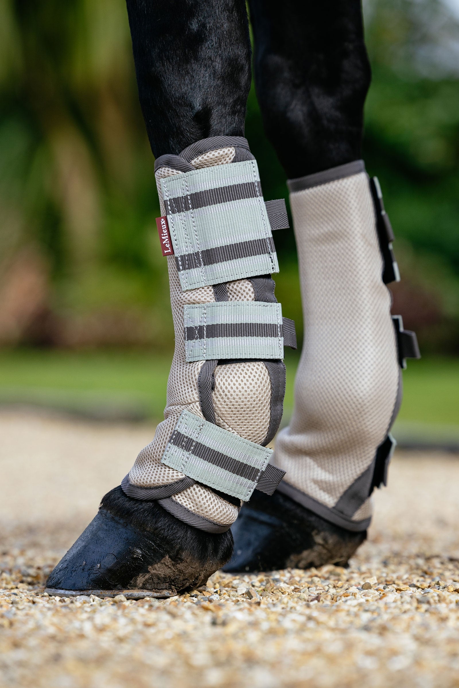 LeMieux Arika guêtres anti-mouches en mesh lot de 4 Anti-mouches cheval