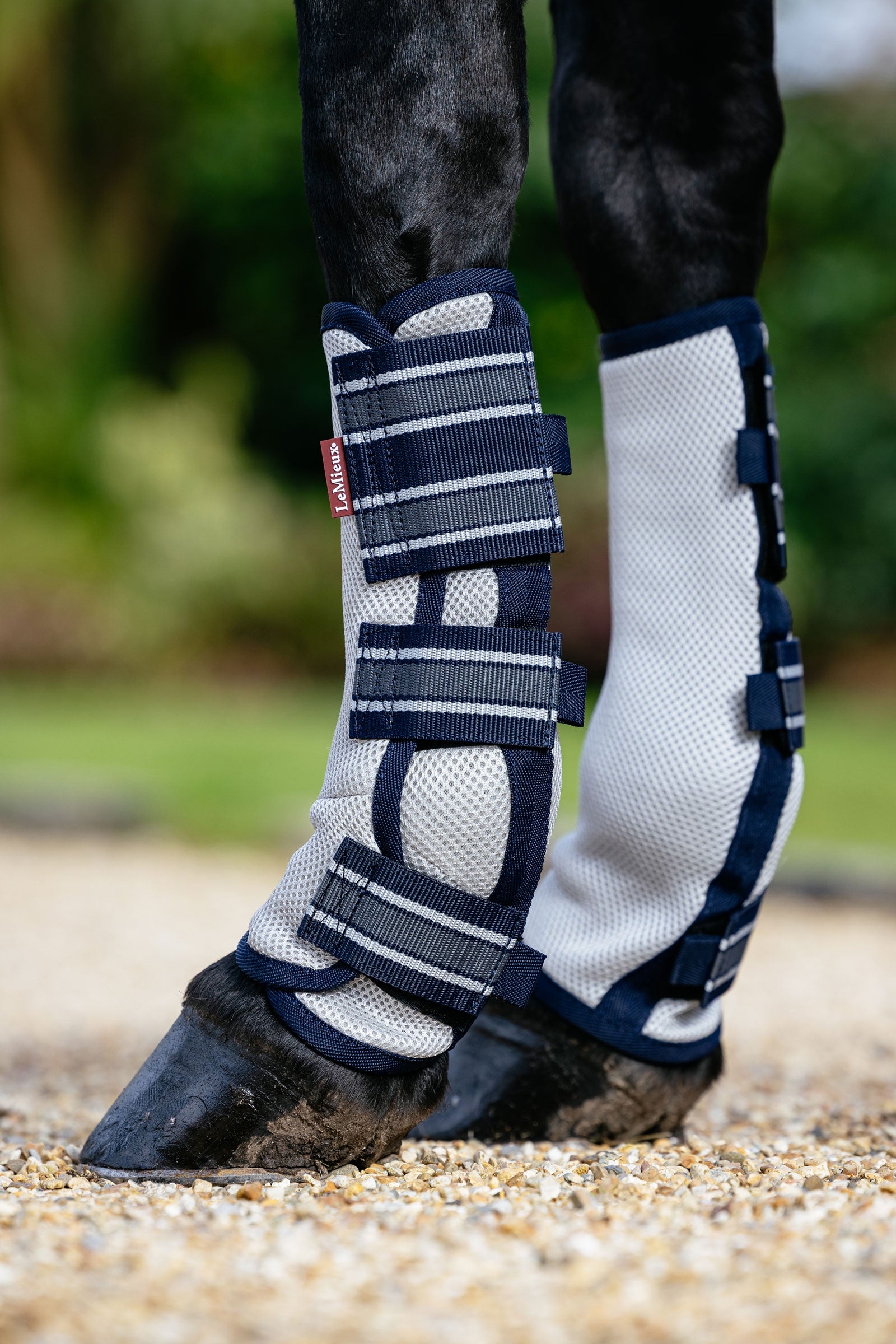 LeMieux Arika guêtres anti-mouches en mesh lot de 4 Anti-mouches cheval