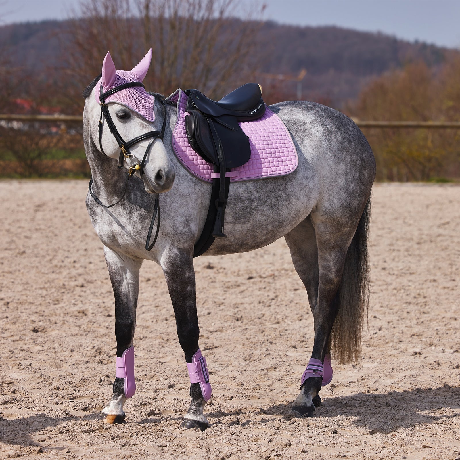 Horze Adepto Tendon Boots Leg Protection & Hoof Protection for Horses