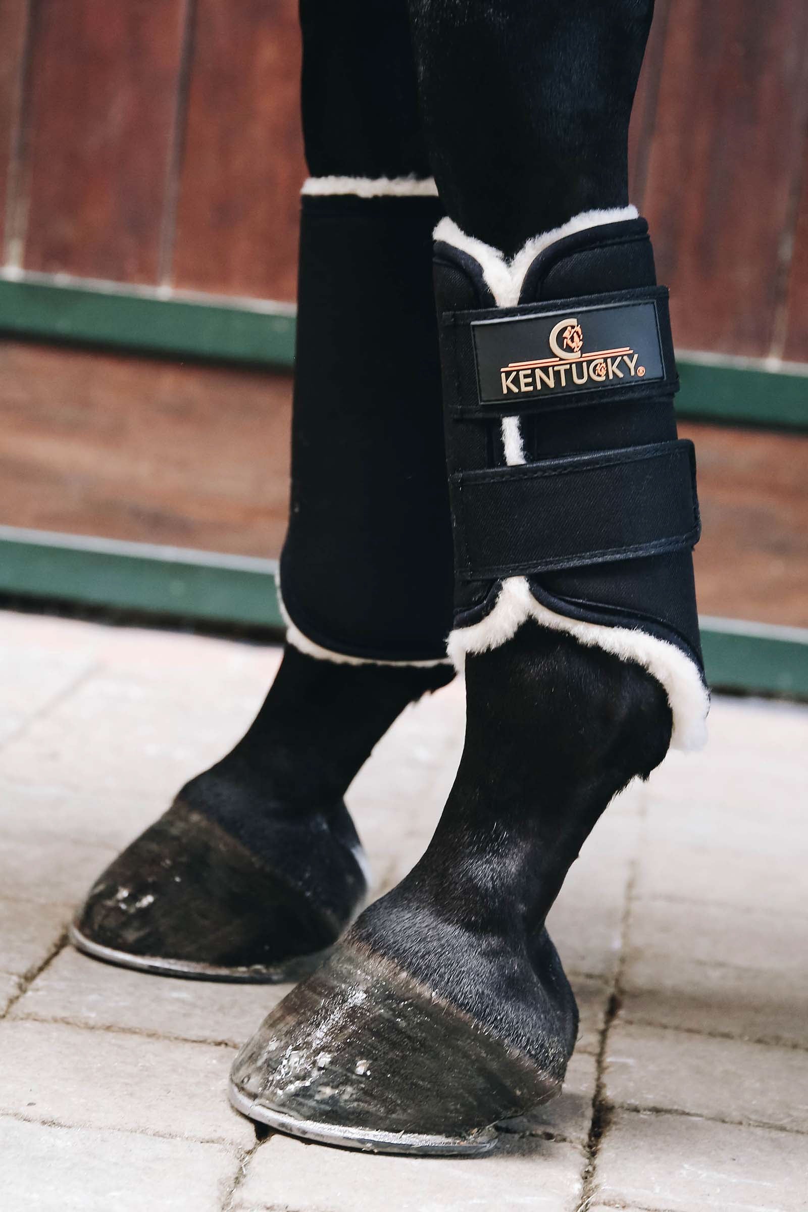 Kentucky Horsewear Guêtres de compétition Solimbra, postérieur Leg Protection & Hoof Protection for Horses