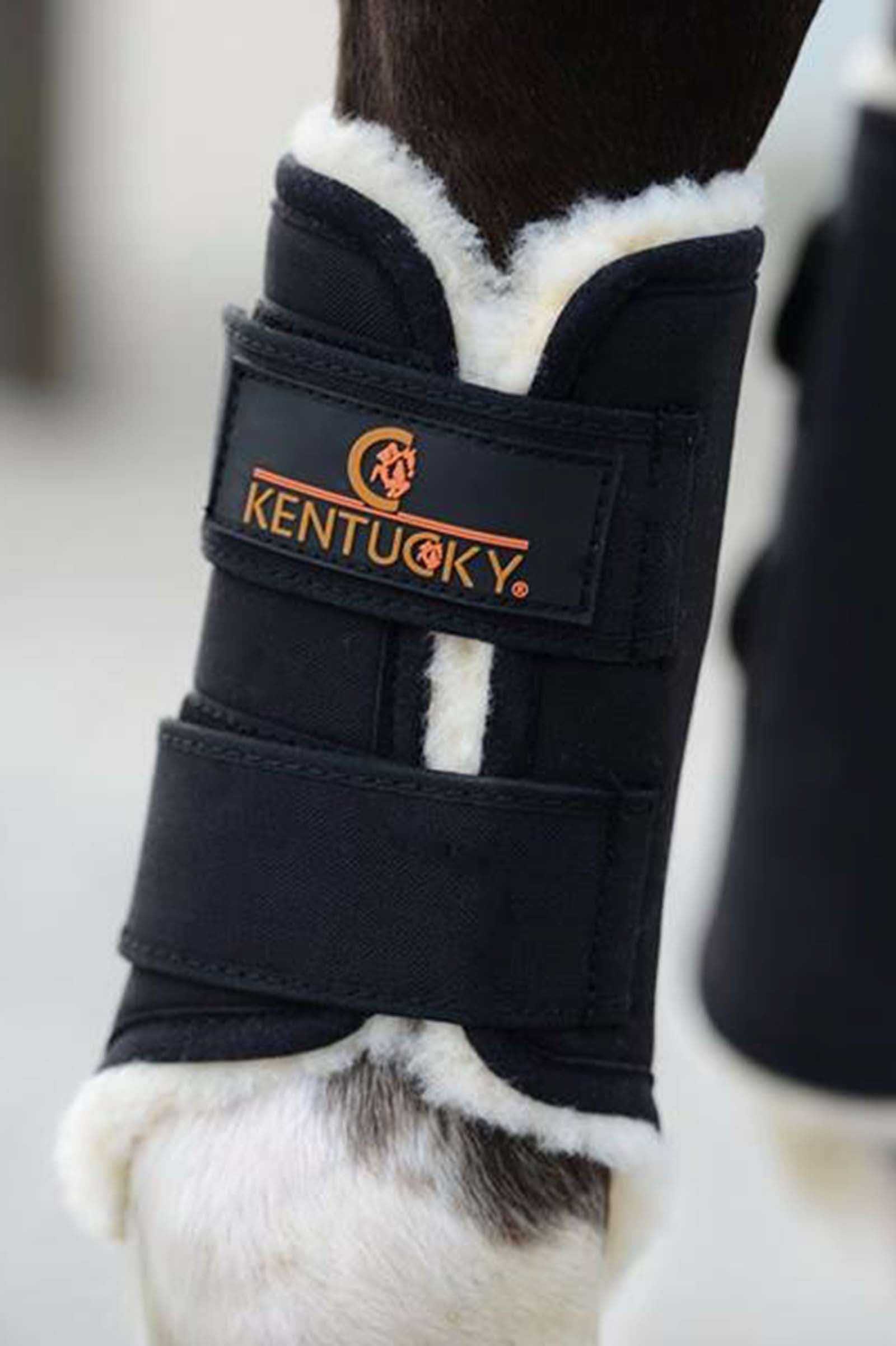 Kentucky Horsewear Solimbra Turnout Boots, Hind Leg Protection & Hoof Protection for Horses