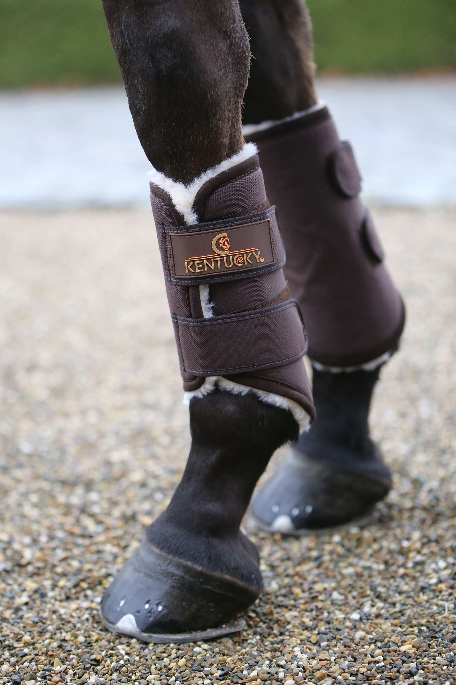 Kentucky Horsewear Guêtres de compétition Solimbra, postérieur Leg Protection & Hoof Protection for Horses