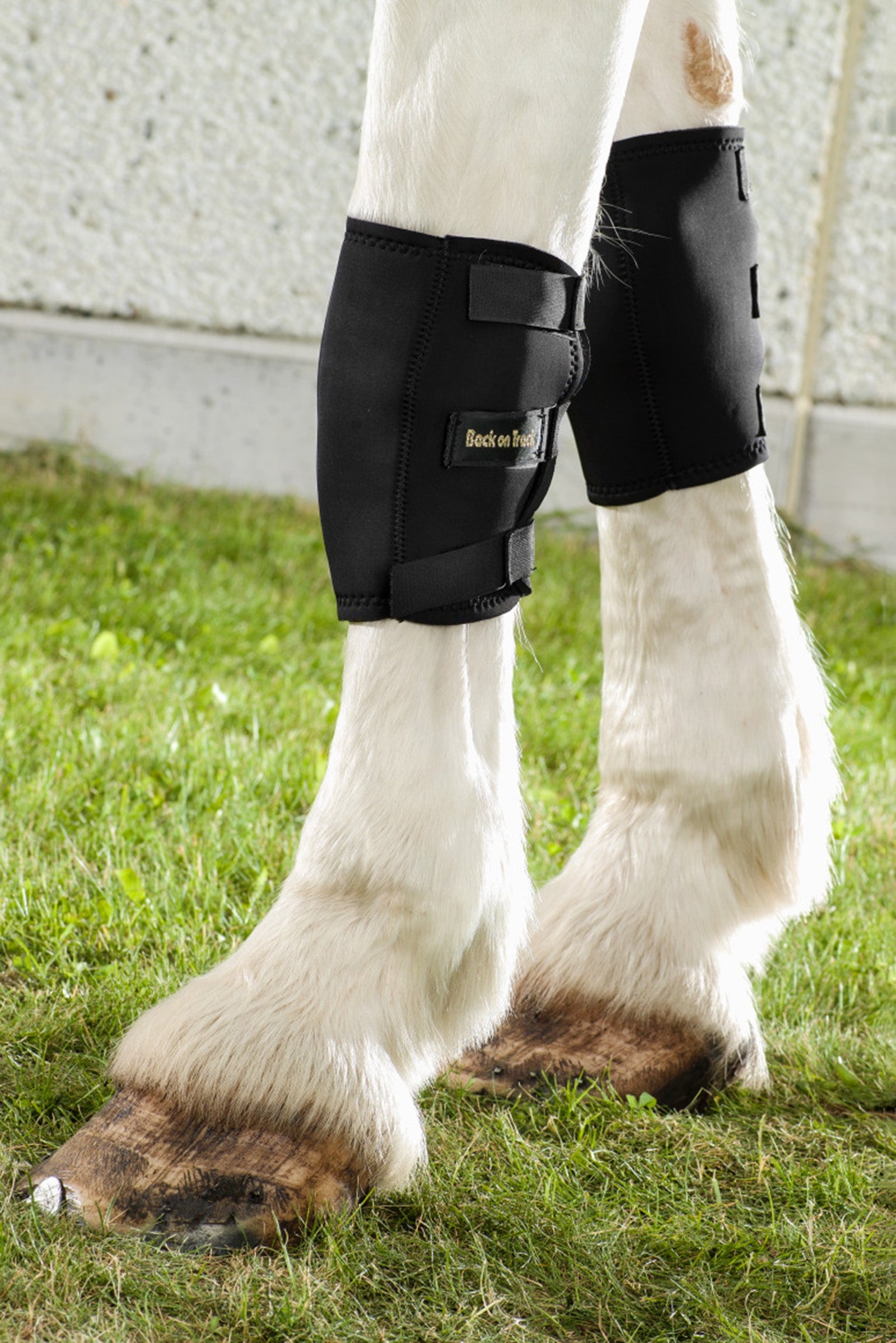 Back on Track Back On Track Knee boot, Right Leg & Hoof Protection