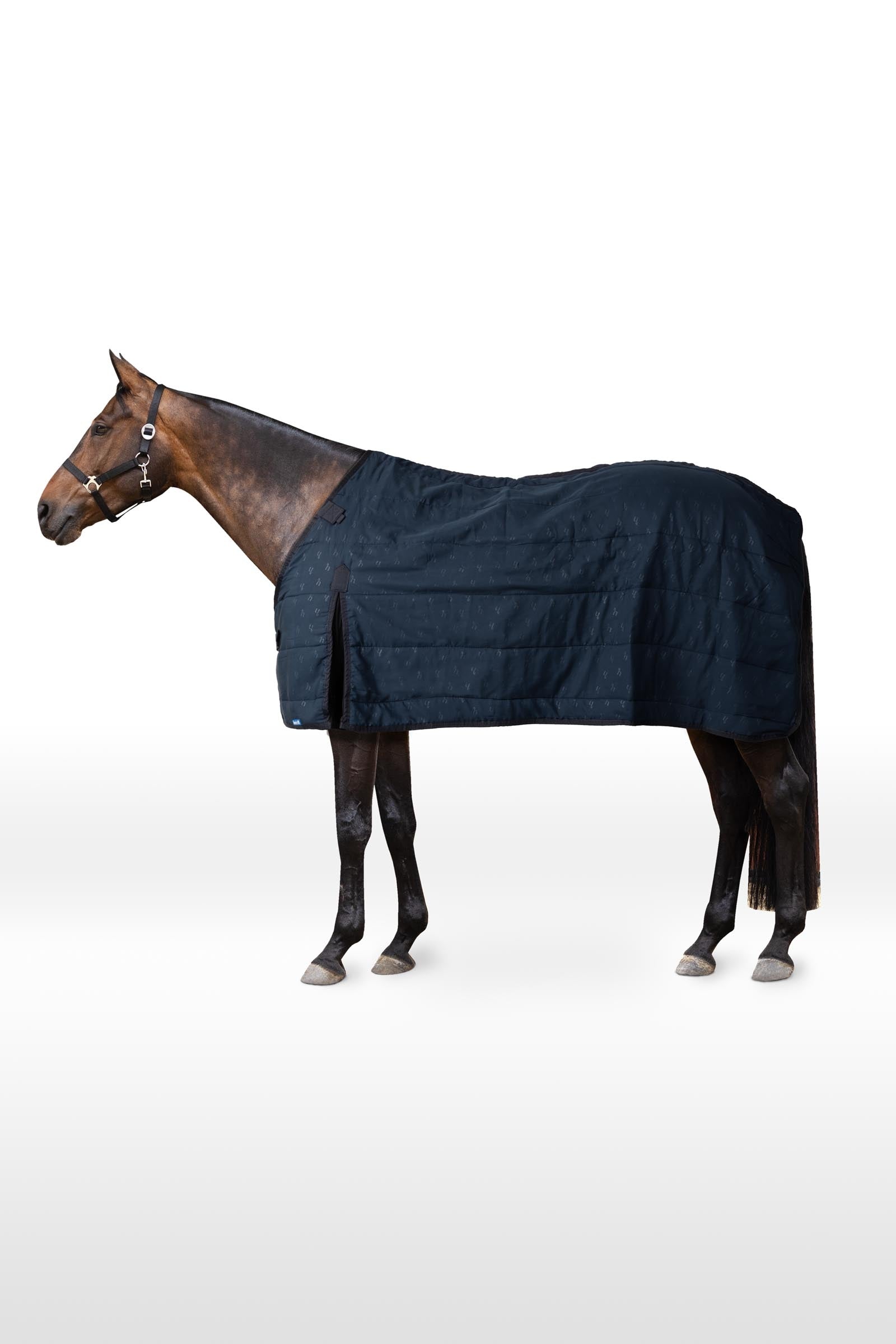 Horze sous-couverture, 50 g Couvertures cheval