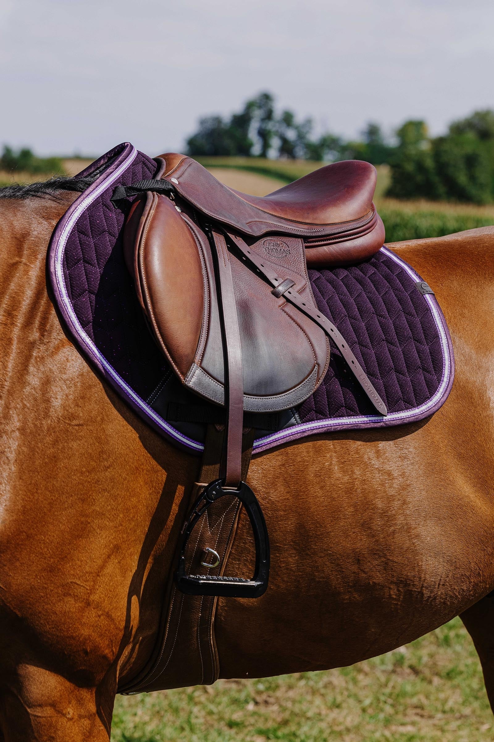 EQUITHÈME Eclat Saddle Pad Saddle Pads