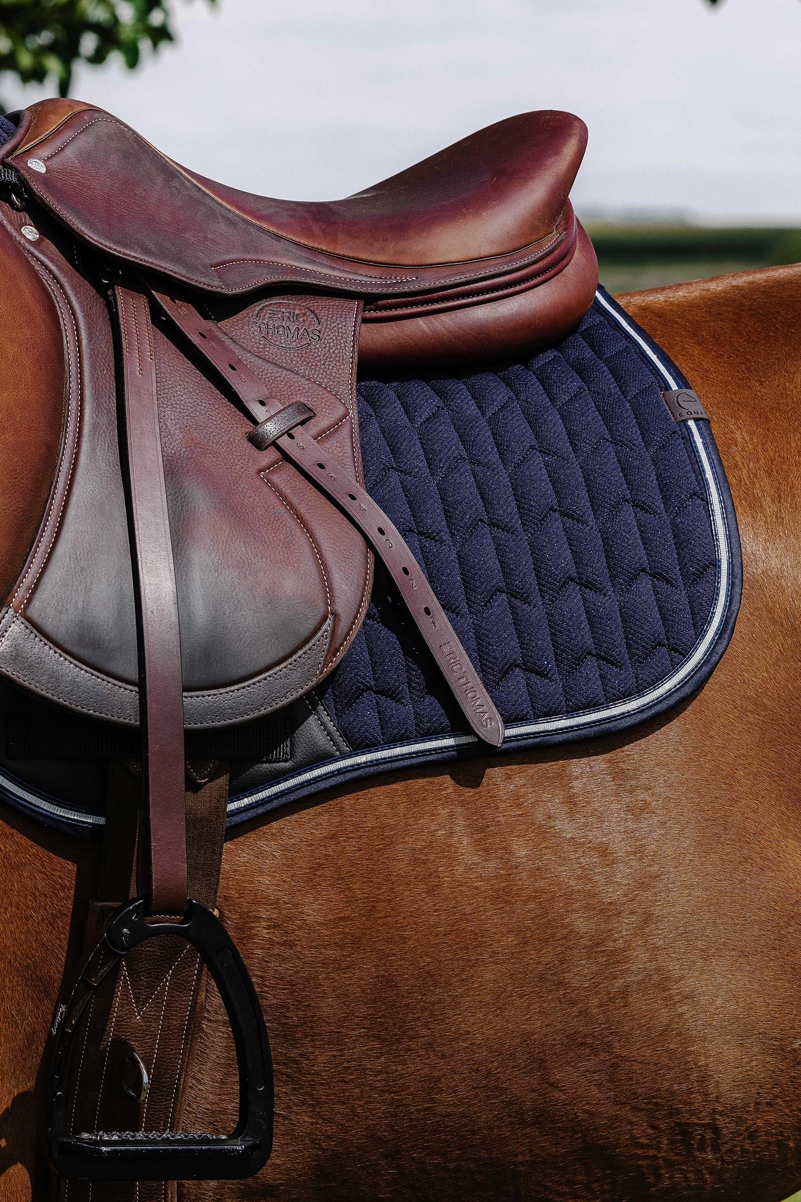 EQUITHÈME Eclat Saddle Pad Saddle Pads