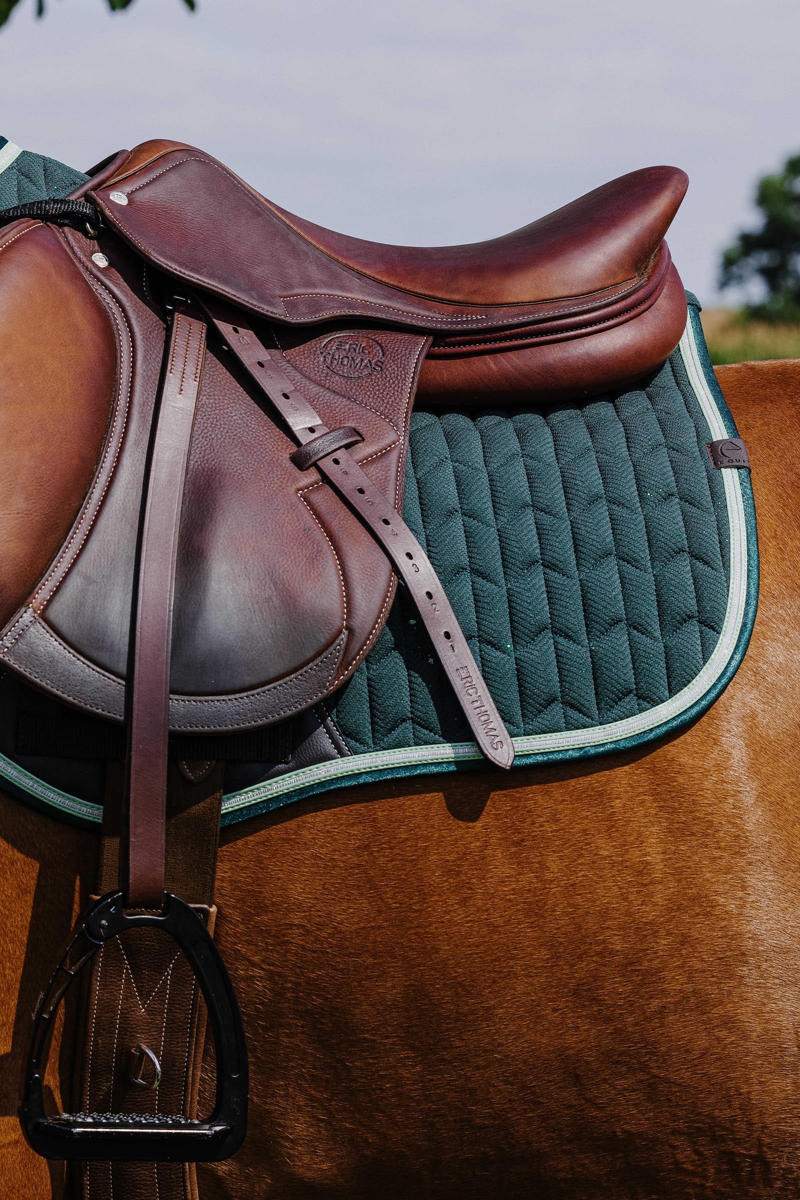 Equi Theme EQUITHÈME Eclat Saddle Pad Saddle Pads
