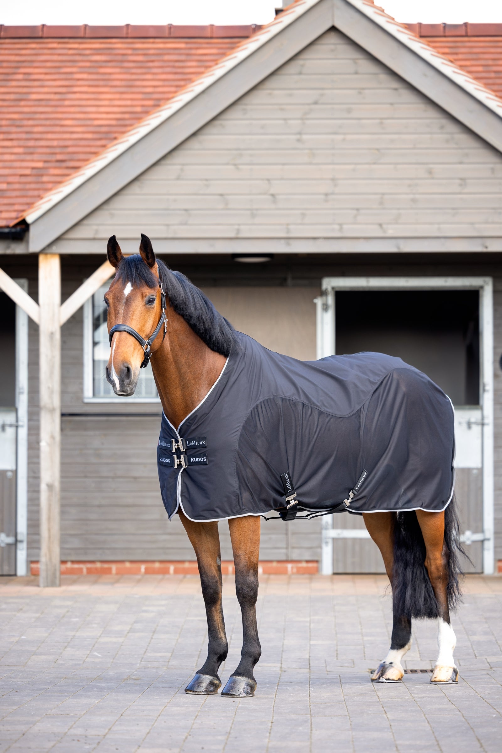 LeMieux Kudos Hybrid Cooler Couvertures cheval