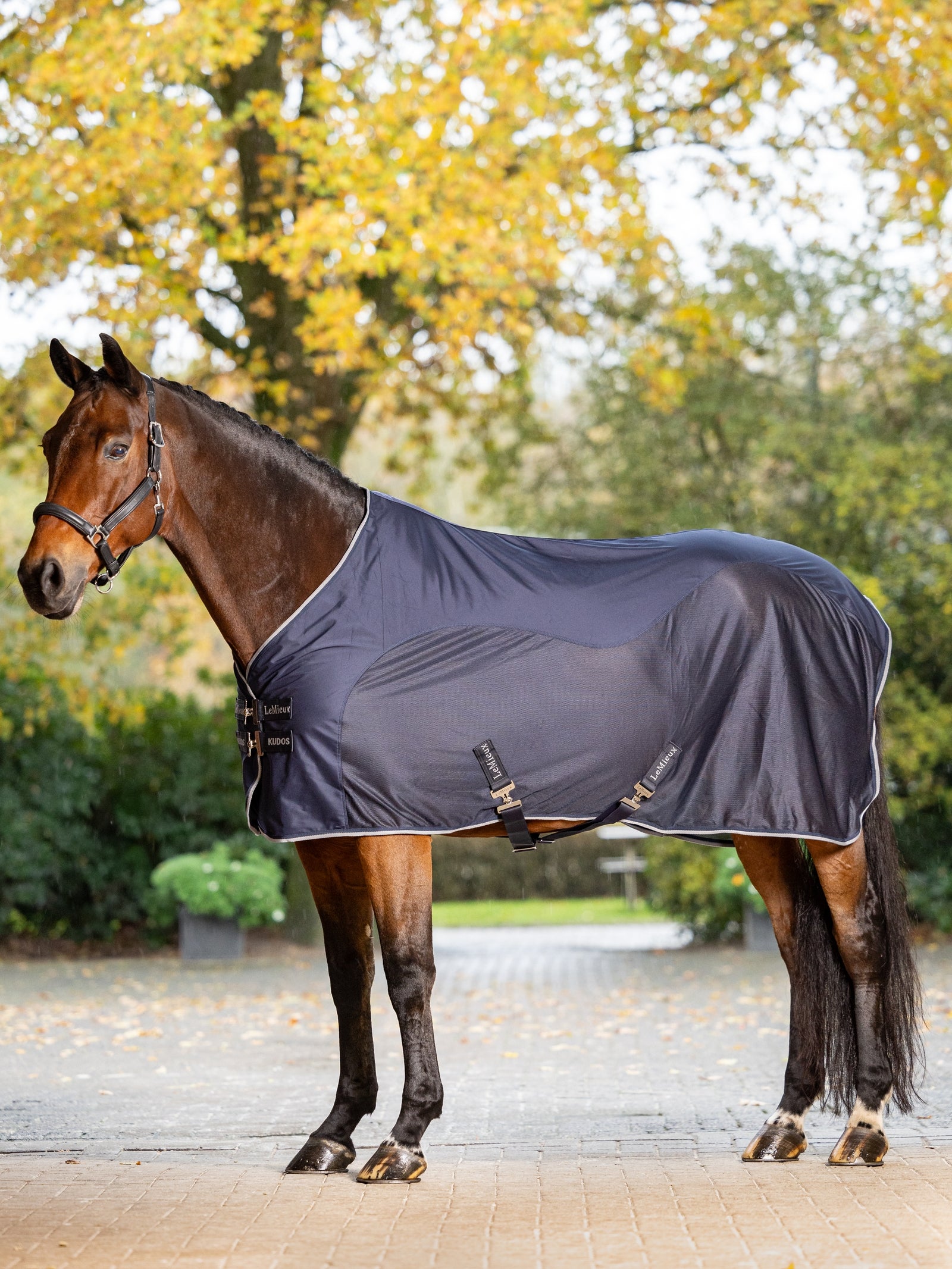 LeMieux Kudos Hybrid Cooler Couvertures cheval