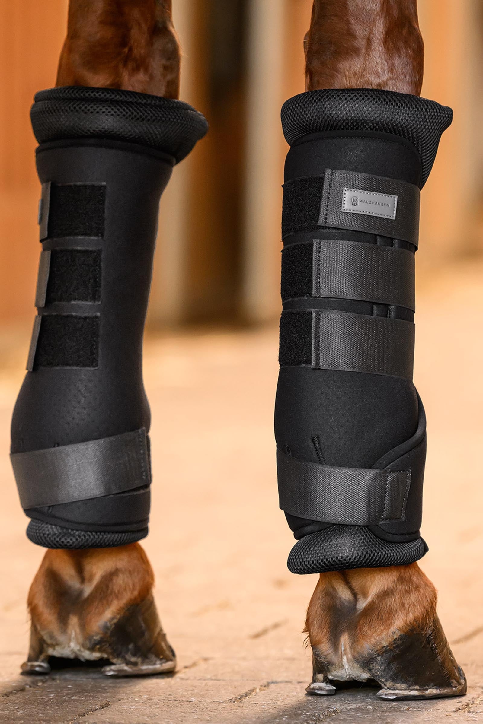 Waldhausen Breath Stable Boots Leg Protection & Hoof Protection for Horses