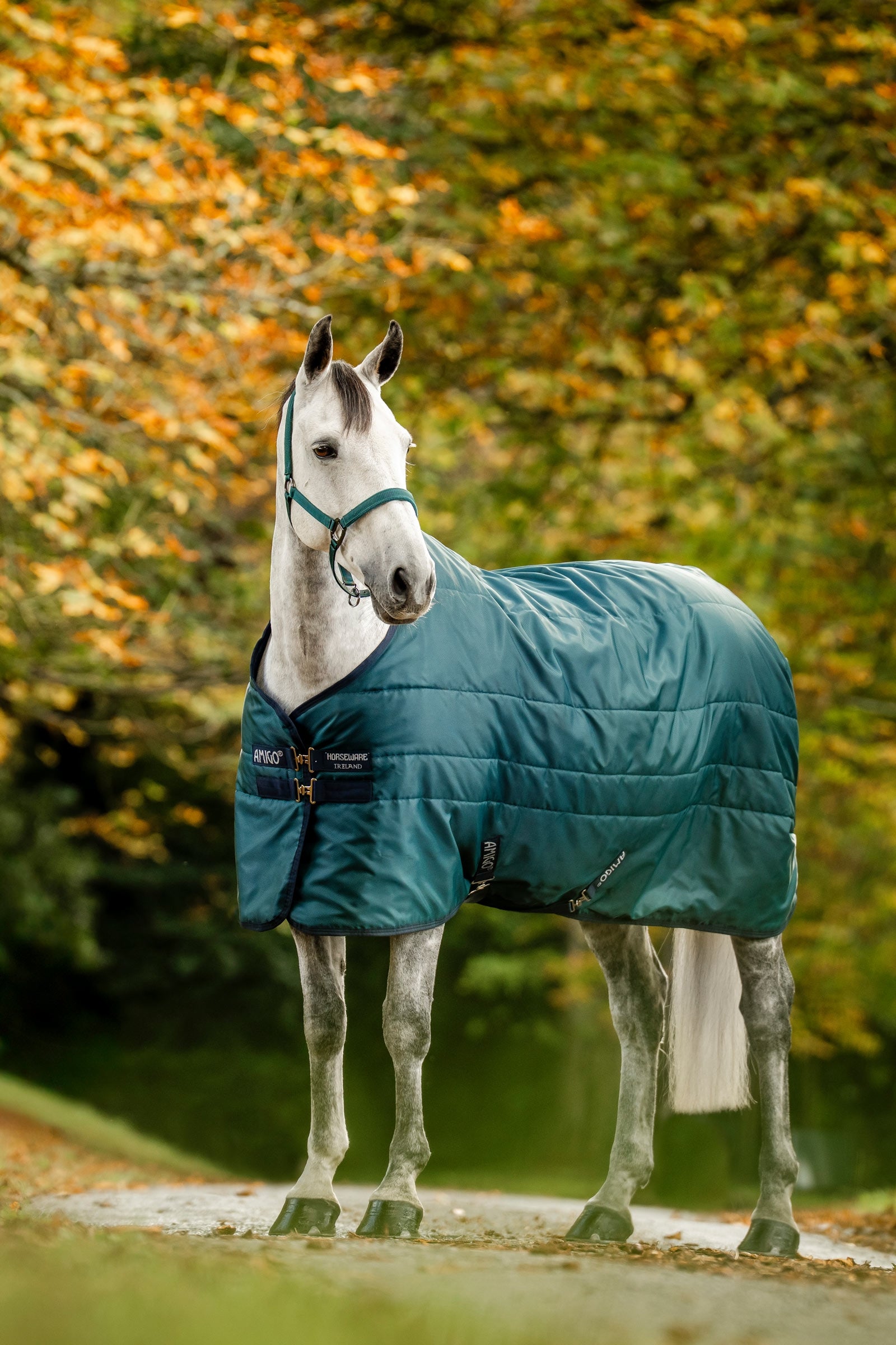 Horseware Amigo Ripstop couverture d’écurie matelassée, 350 g Couvertures cheval