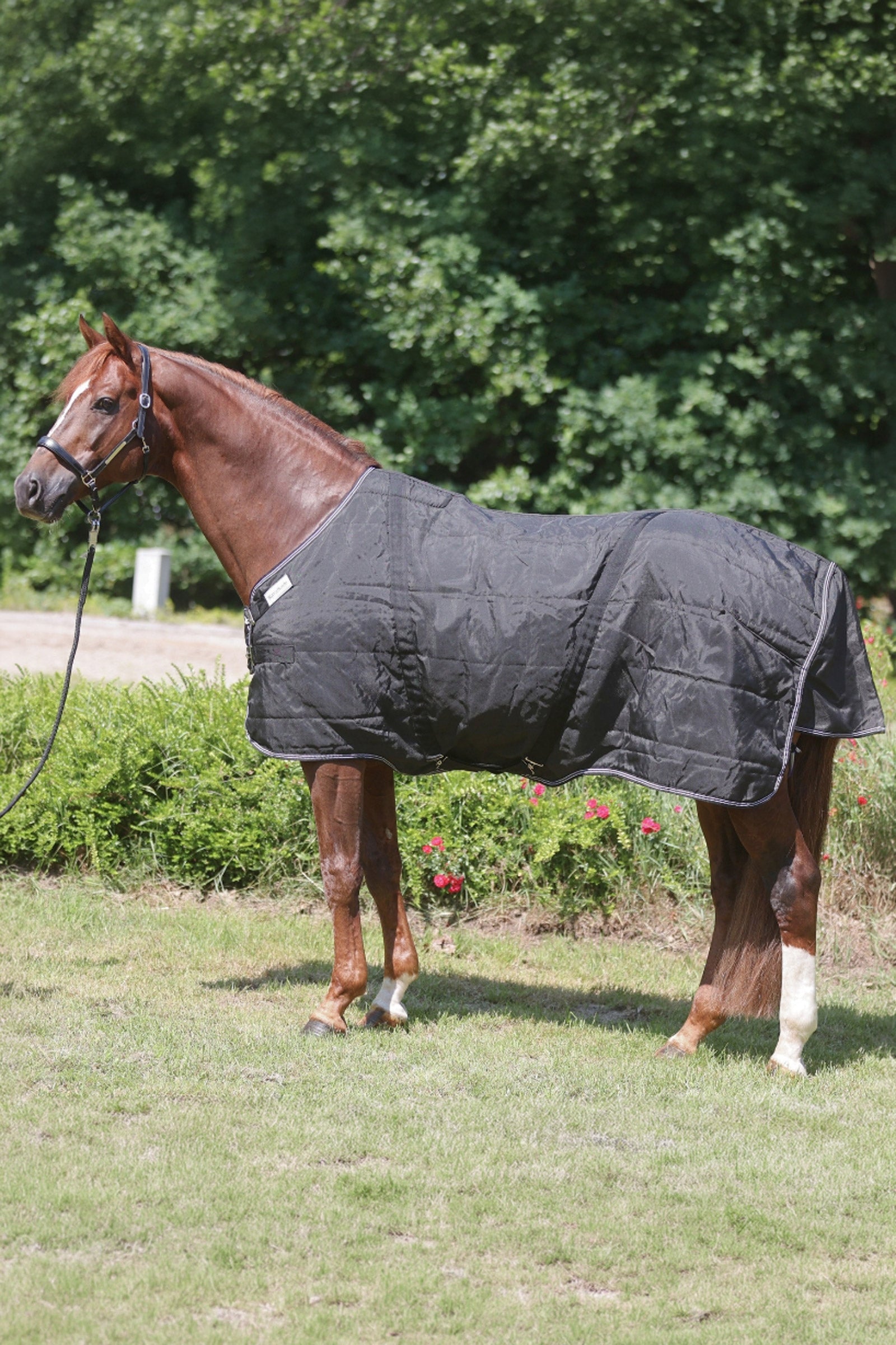 Kavalkade Stallion Rug With Chest Bib, 200 g Horse Rugs