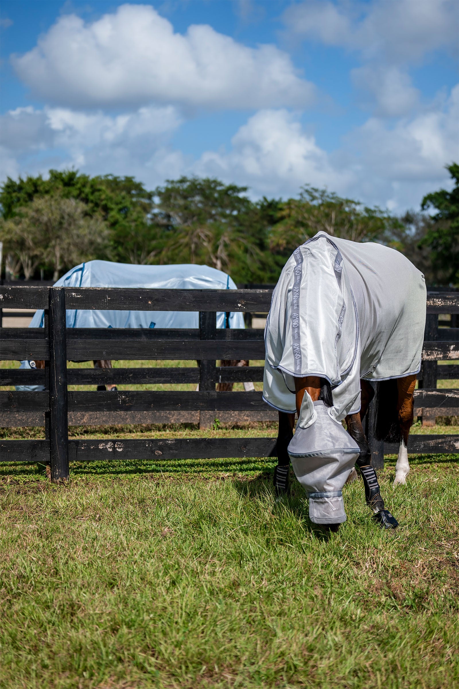 Horseware Rambo Flymask Antifly Protection for Horses