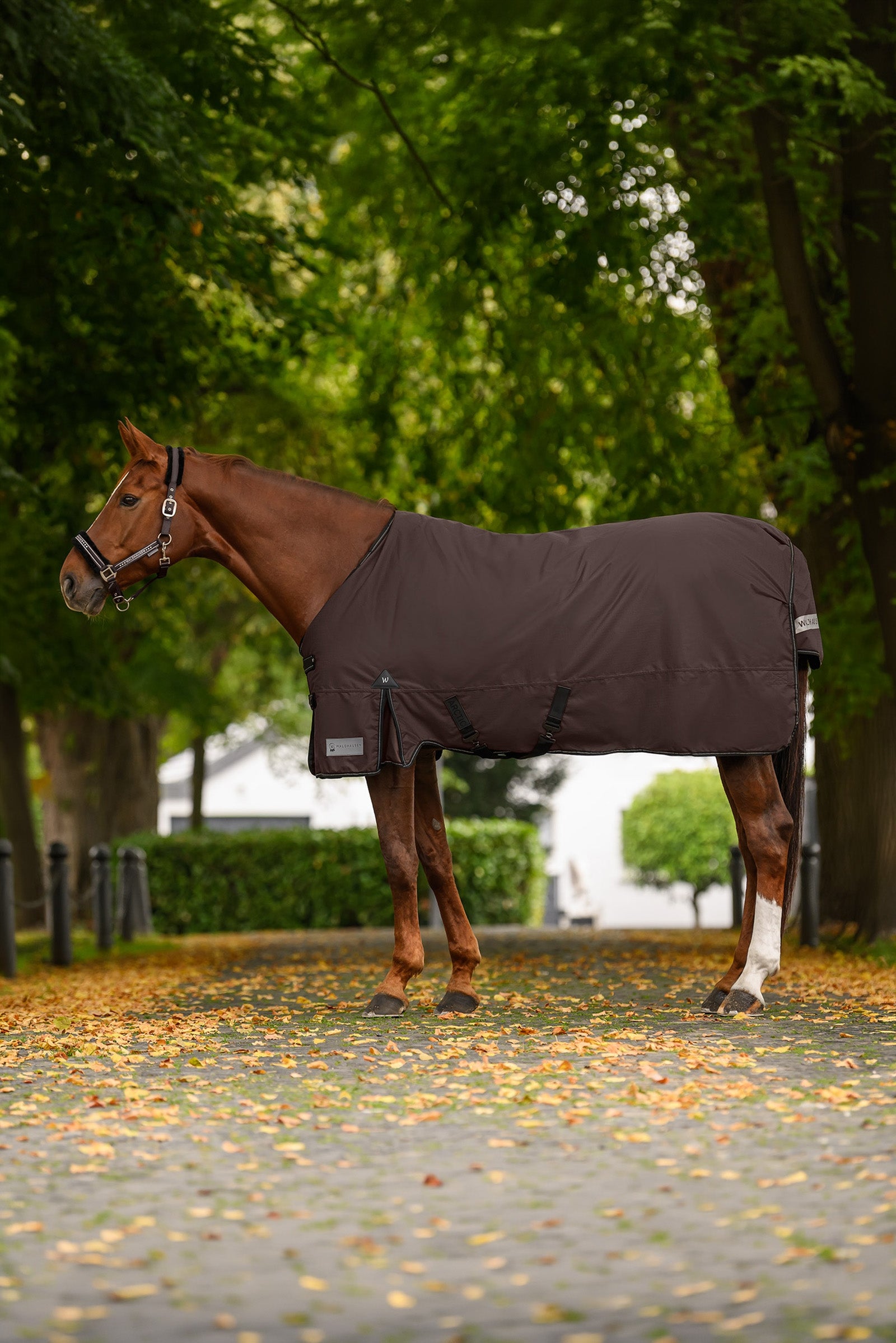 Waldhausen Arctic Turnout Rug, 200 g Horse Rugs
