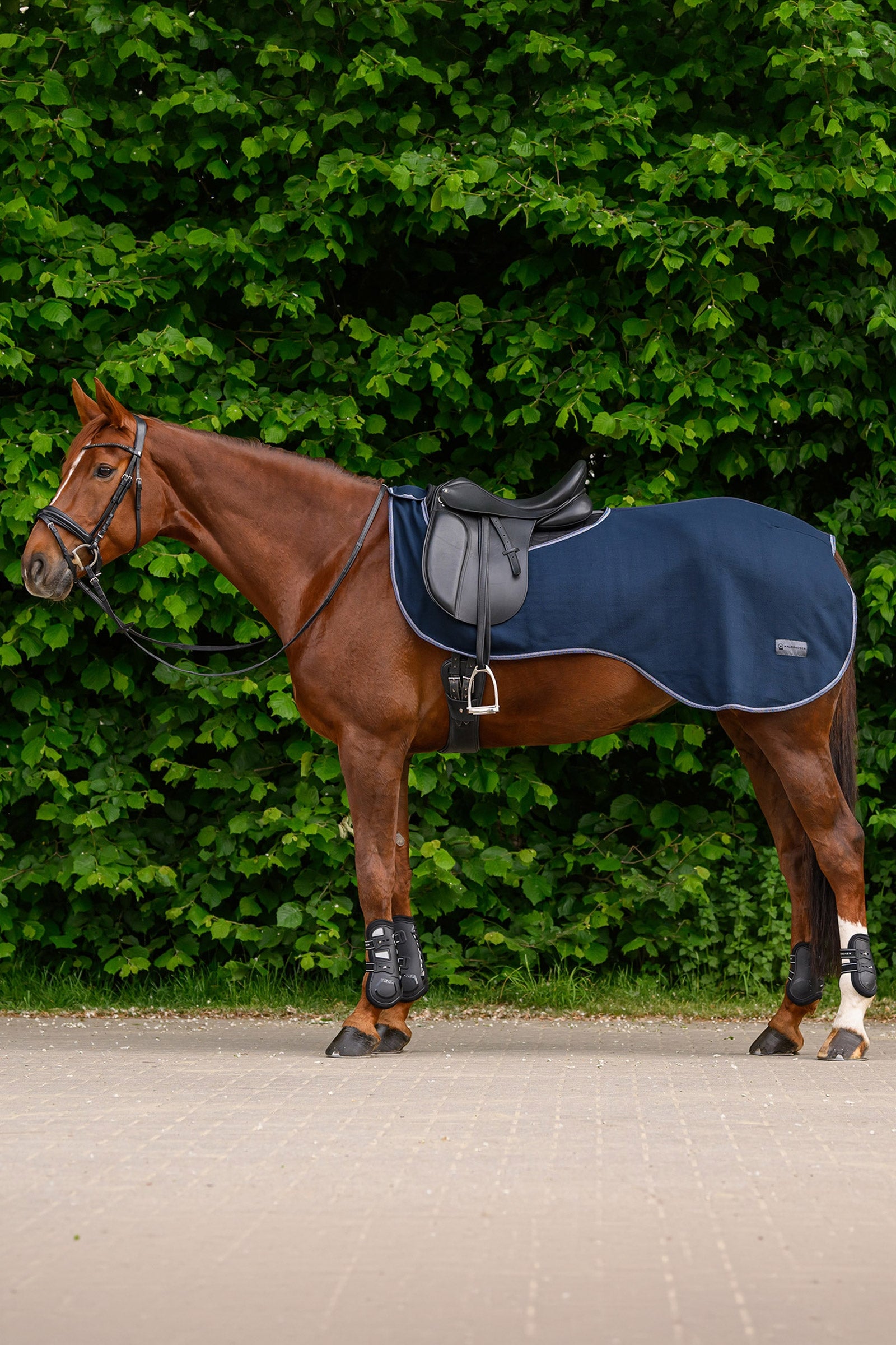 Waldhausen ECONOMIC couverture polaire d’exercice Couvertures cheval