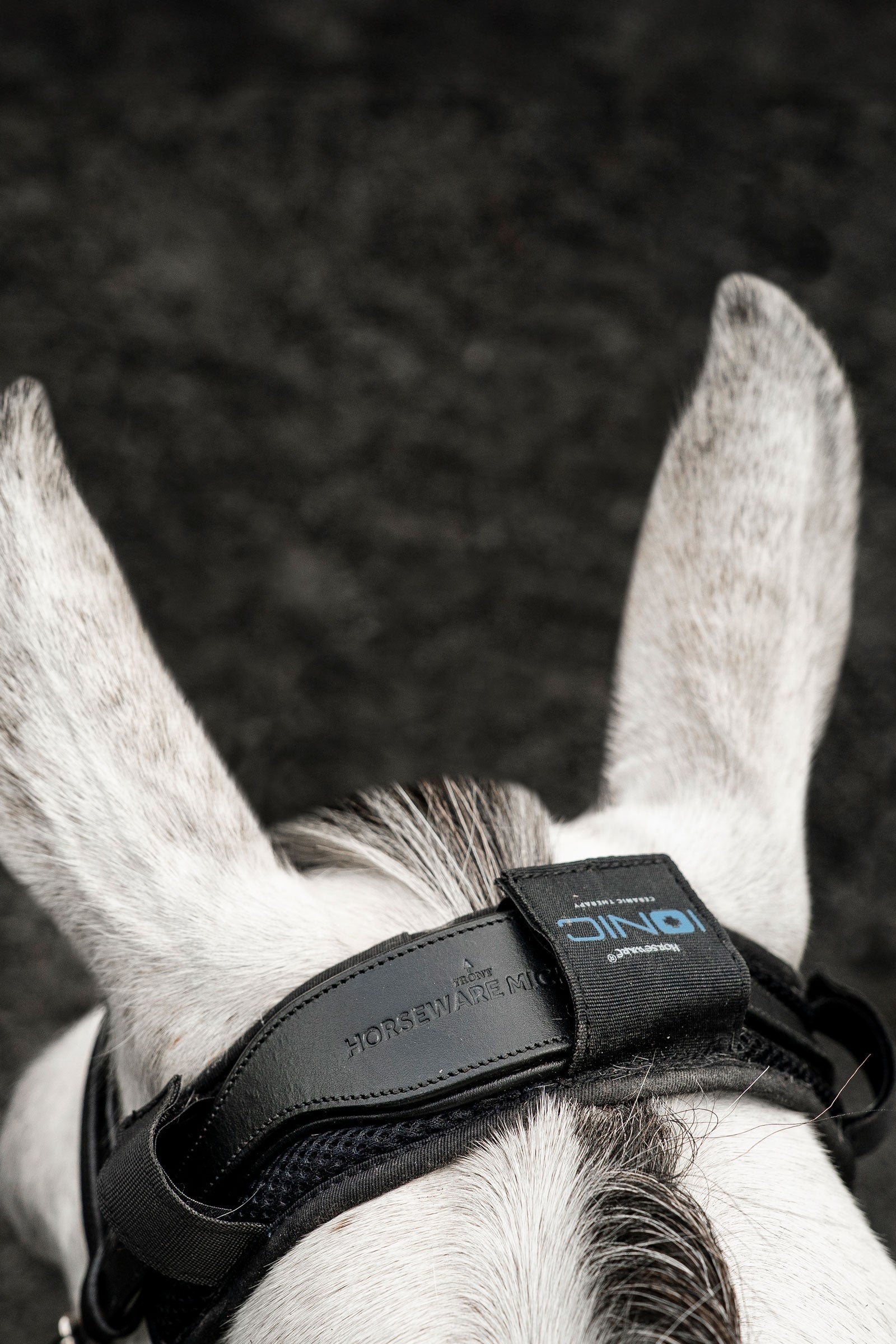Horseware Ionic couvre-nuque Anti-mouches cheval