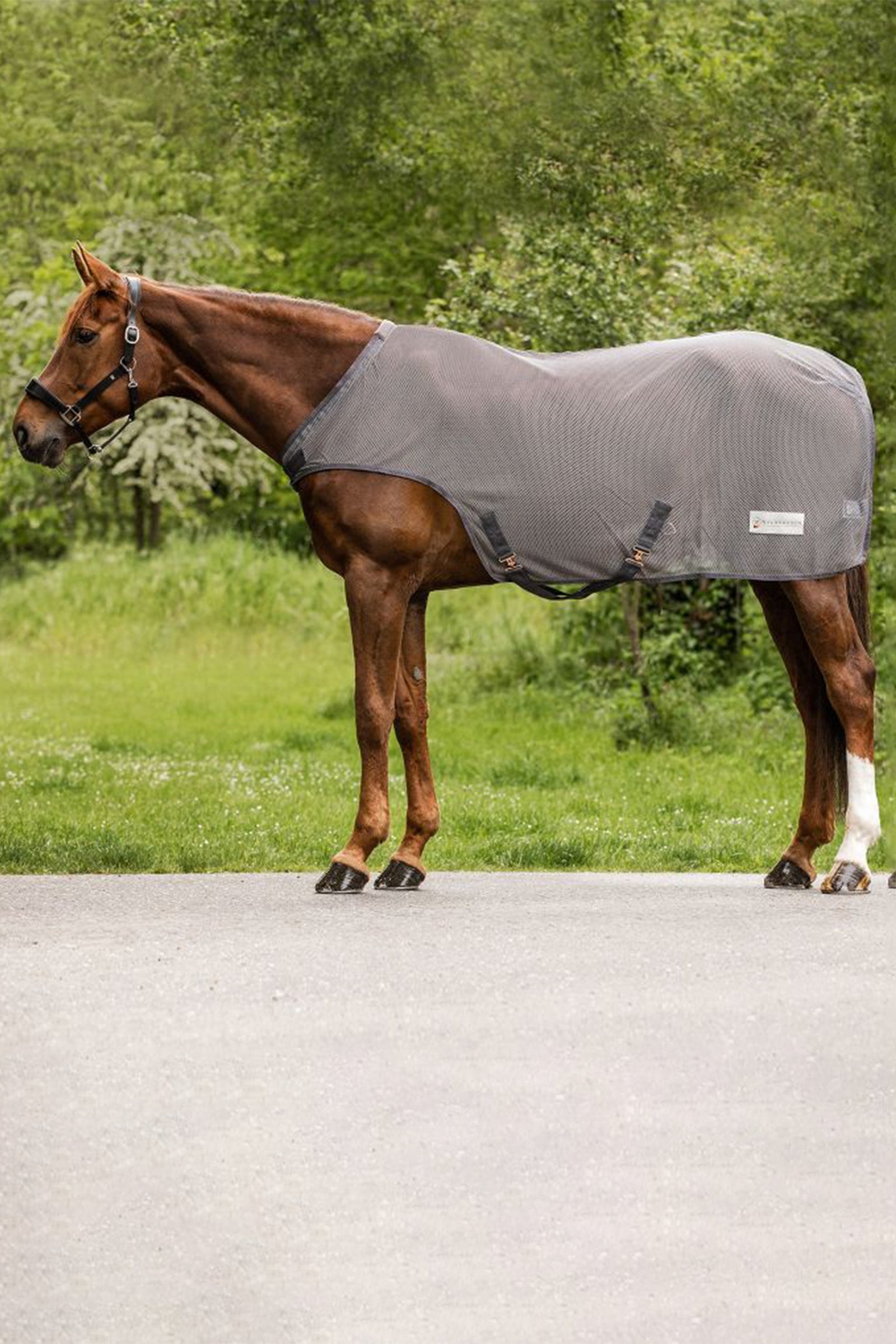Waldhausen Couverture pour machine de marche pour chevaux volants COMFORT de Waldhausen Couvertures cheval