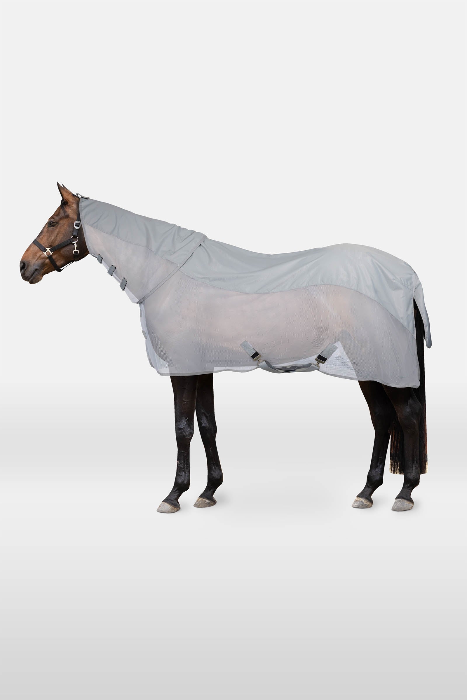Horze Nevada II combo couverture pluie et anti-mouches avec couvre-cou amovible Couvertures cheval