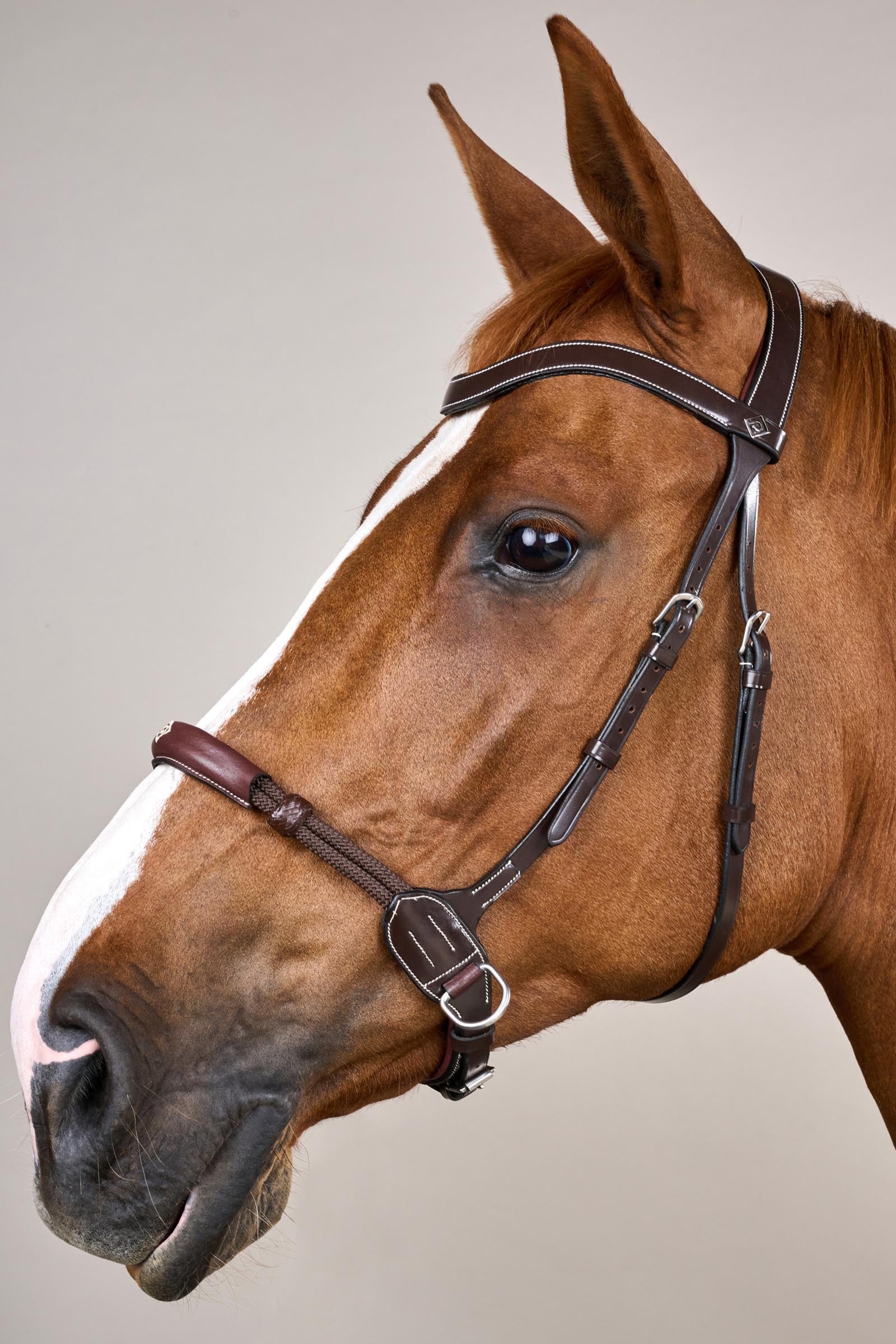 Dy'on Working Bitless Bridle Bridles & Reins