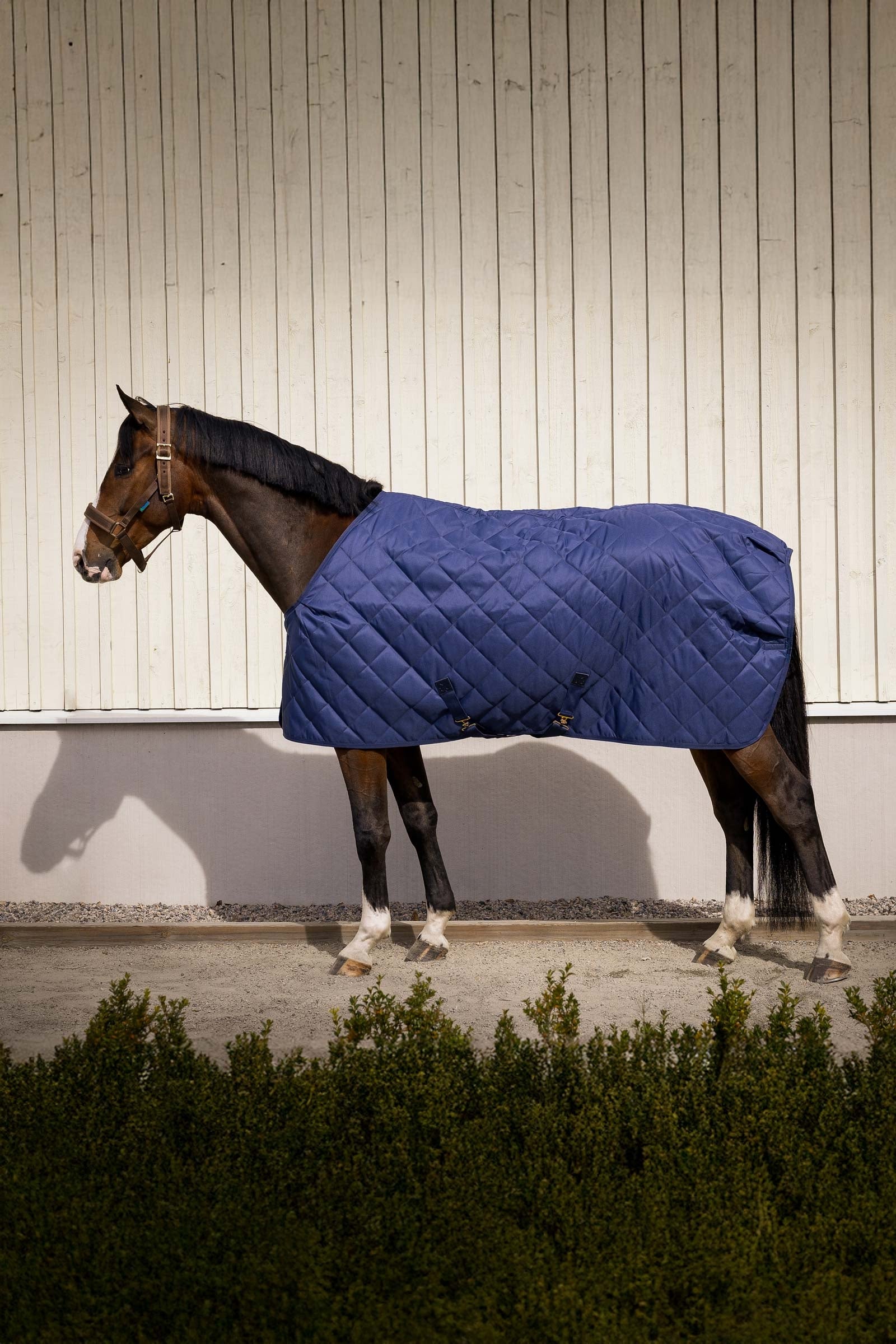 Bucas Cosy Stable Rug Couvertures cheval