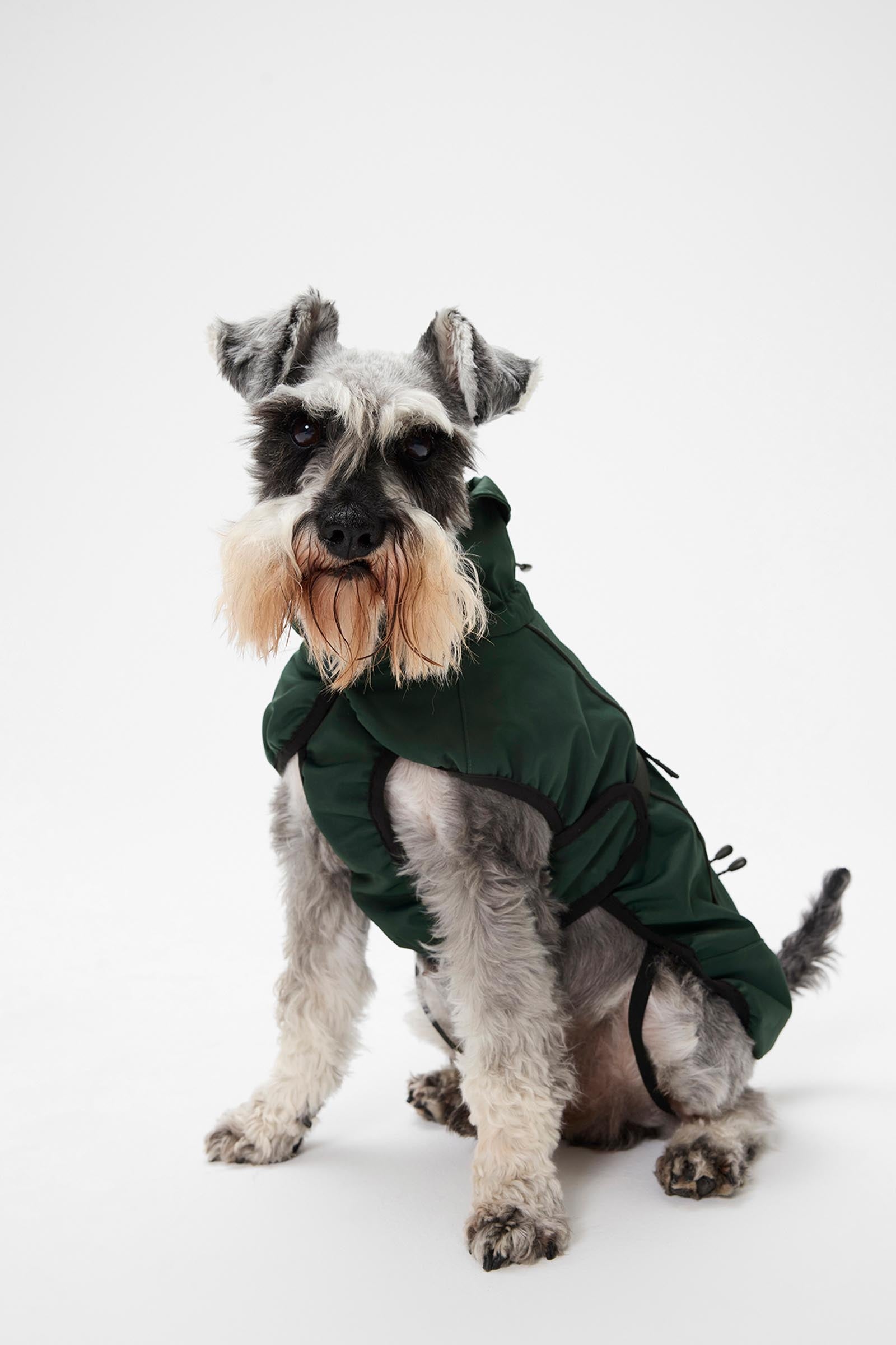 Mountain Horse Grace Dog Jacket Dog Accesories