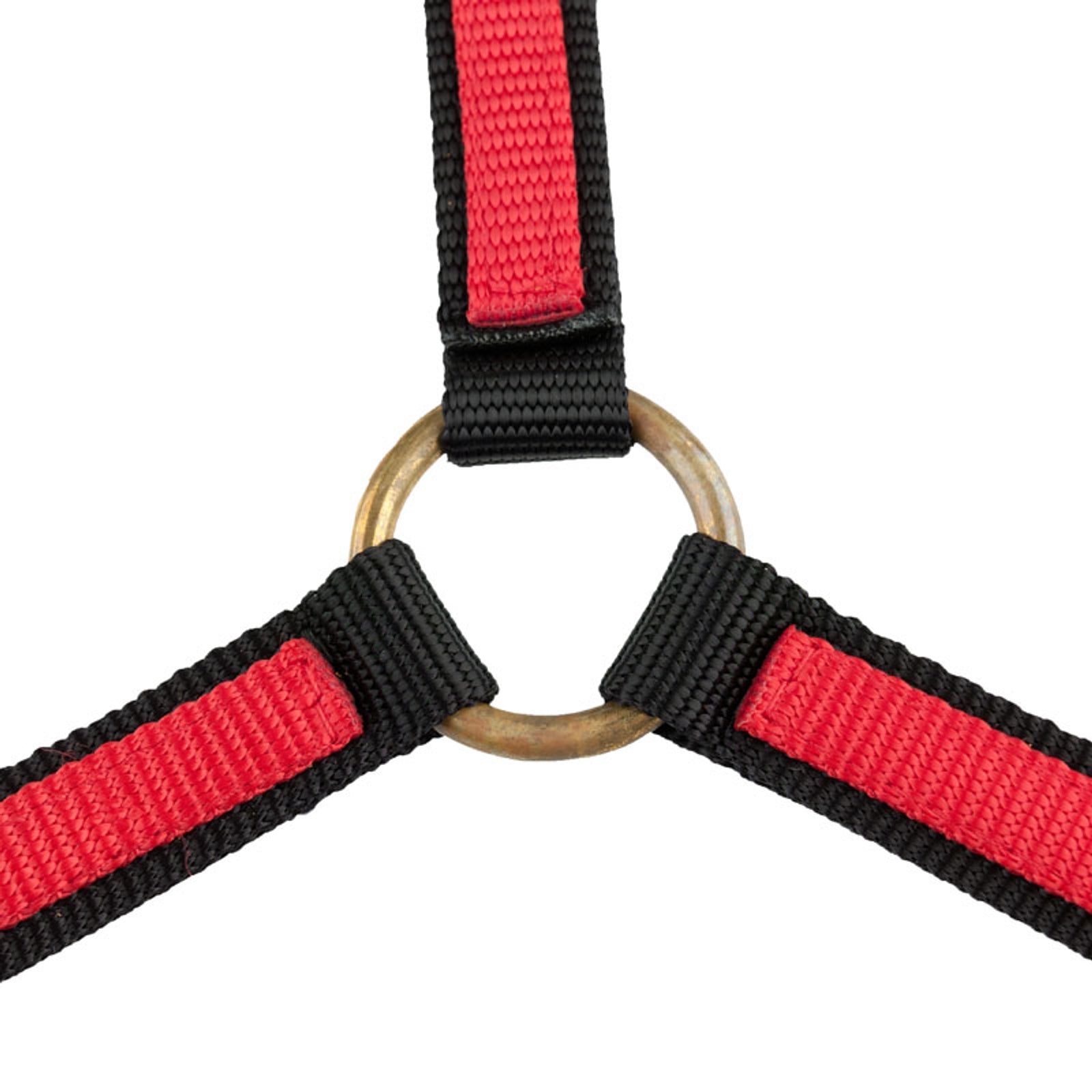 Finntack Licol nylon, US, 20mm, ouvert (20 mm) Licols & longes