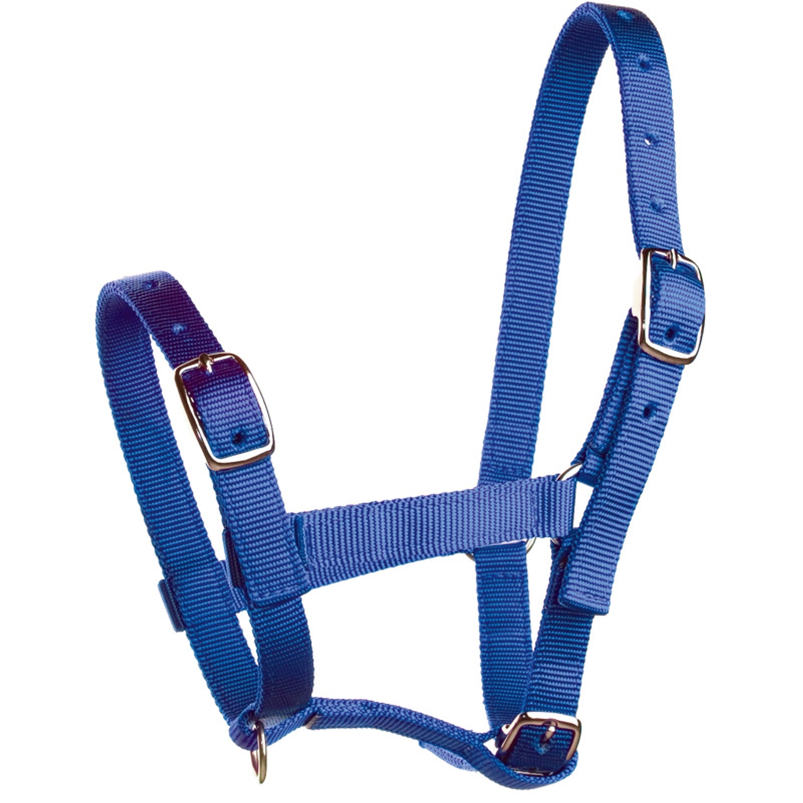 Horze Licol de poulain , nylon Licols & longes