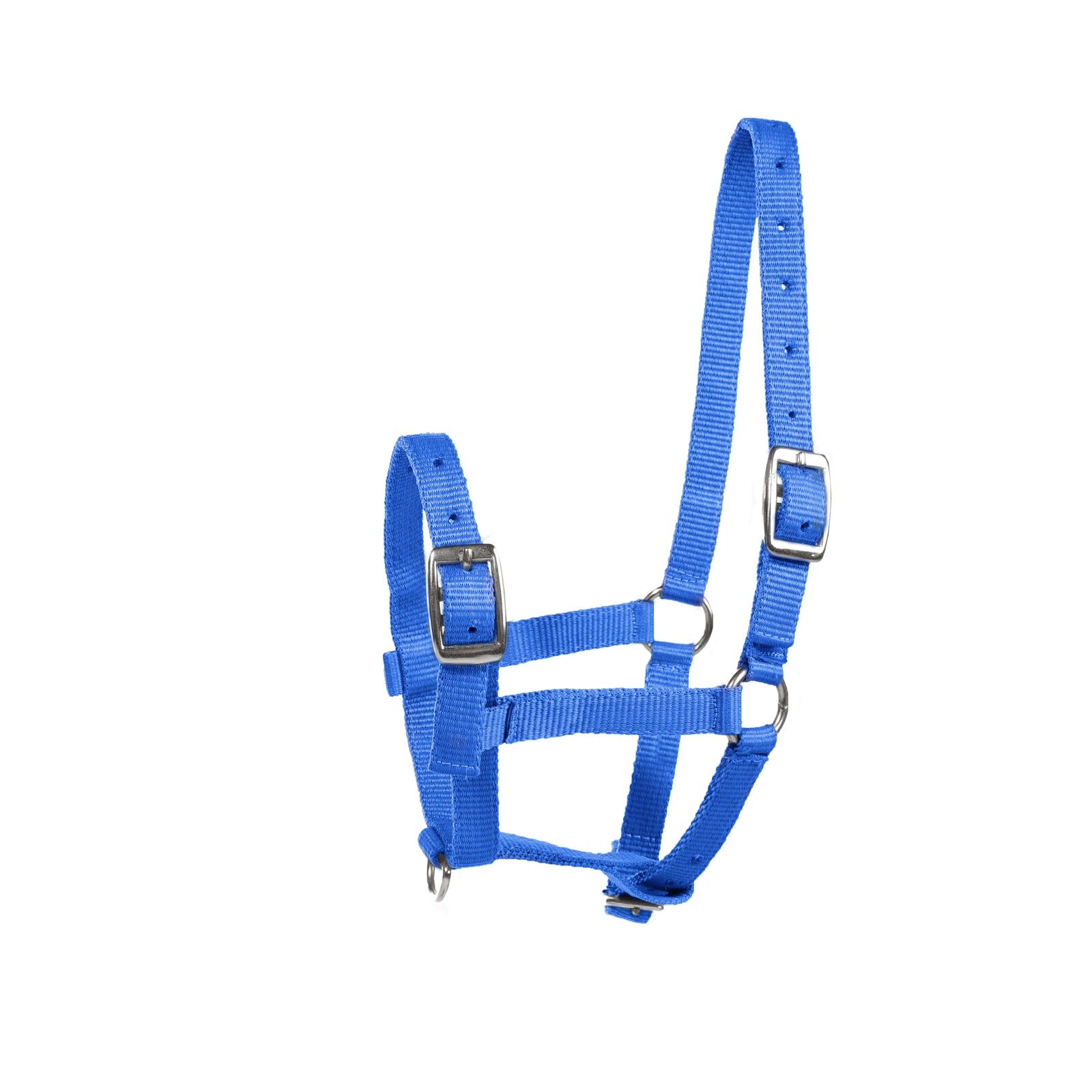 Horze Licol pour poulain Foal Licols & longes