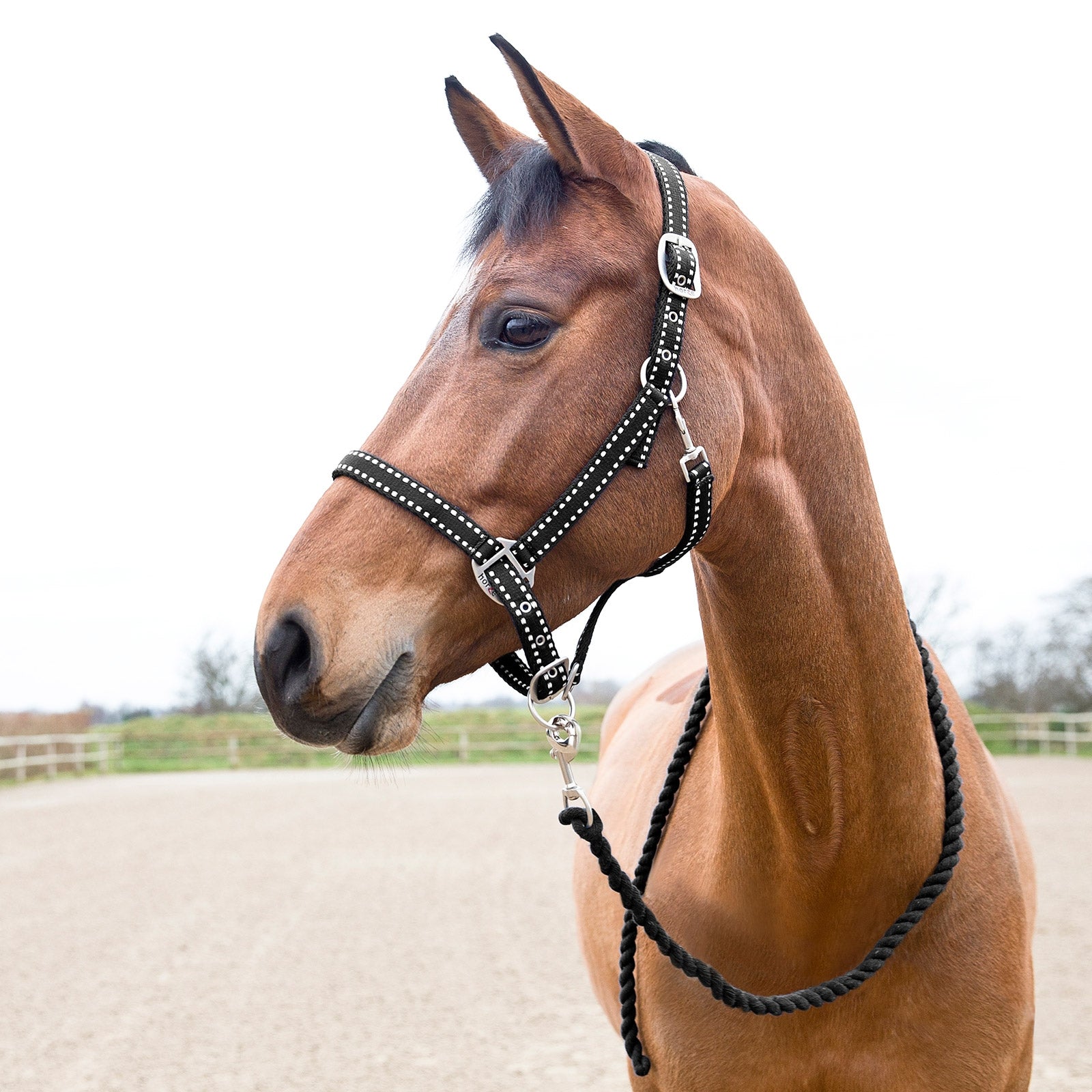 Horze Cooper Halter and Lead Set Halters & Leads