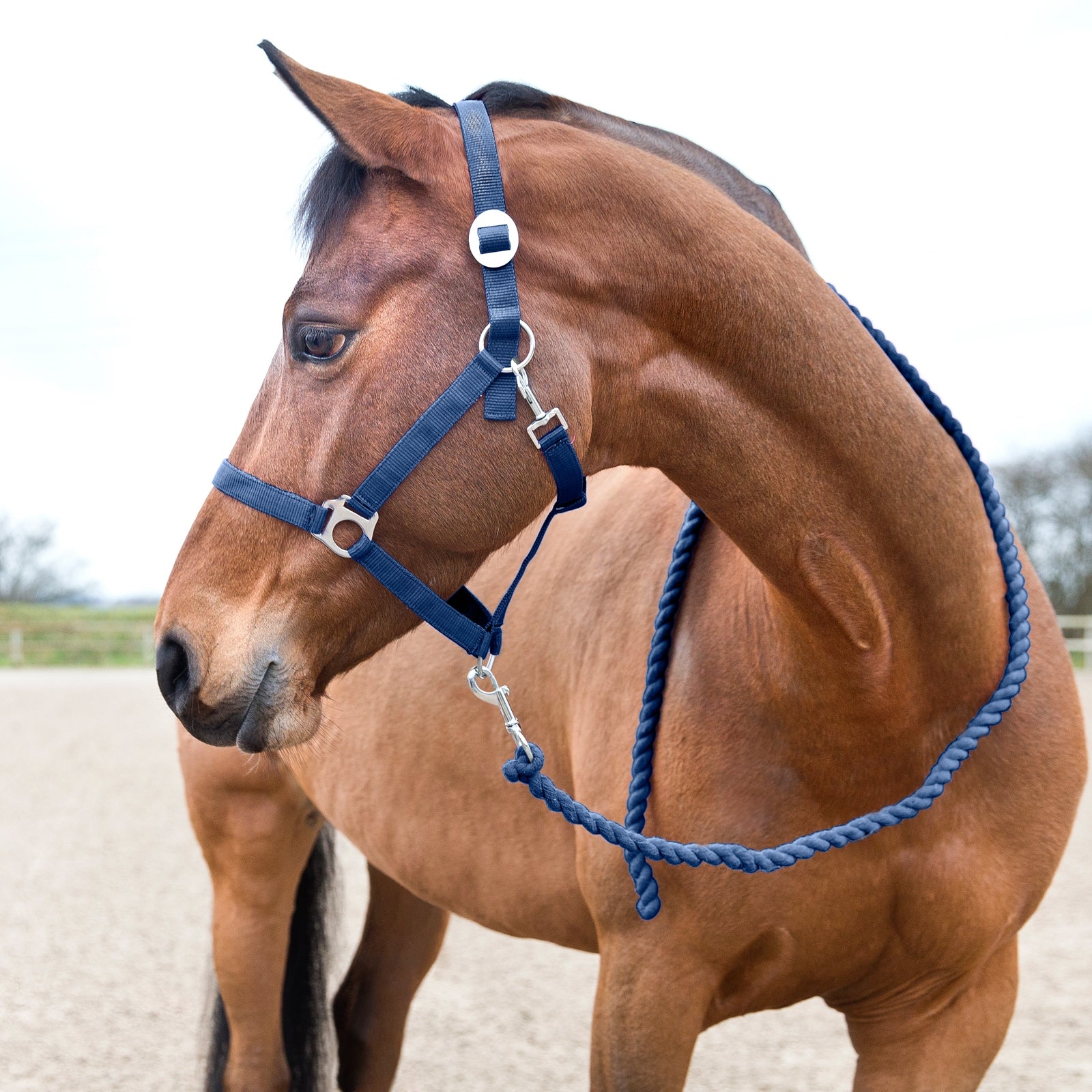 Horze Longe basique Horze Licols & longes