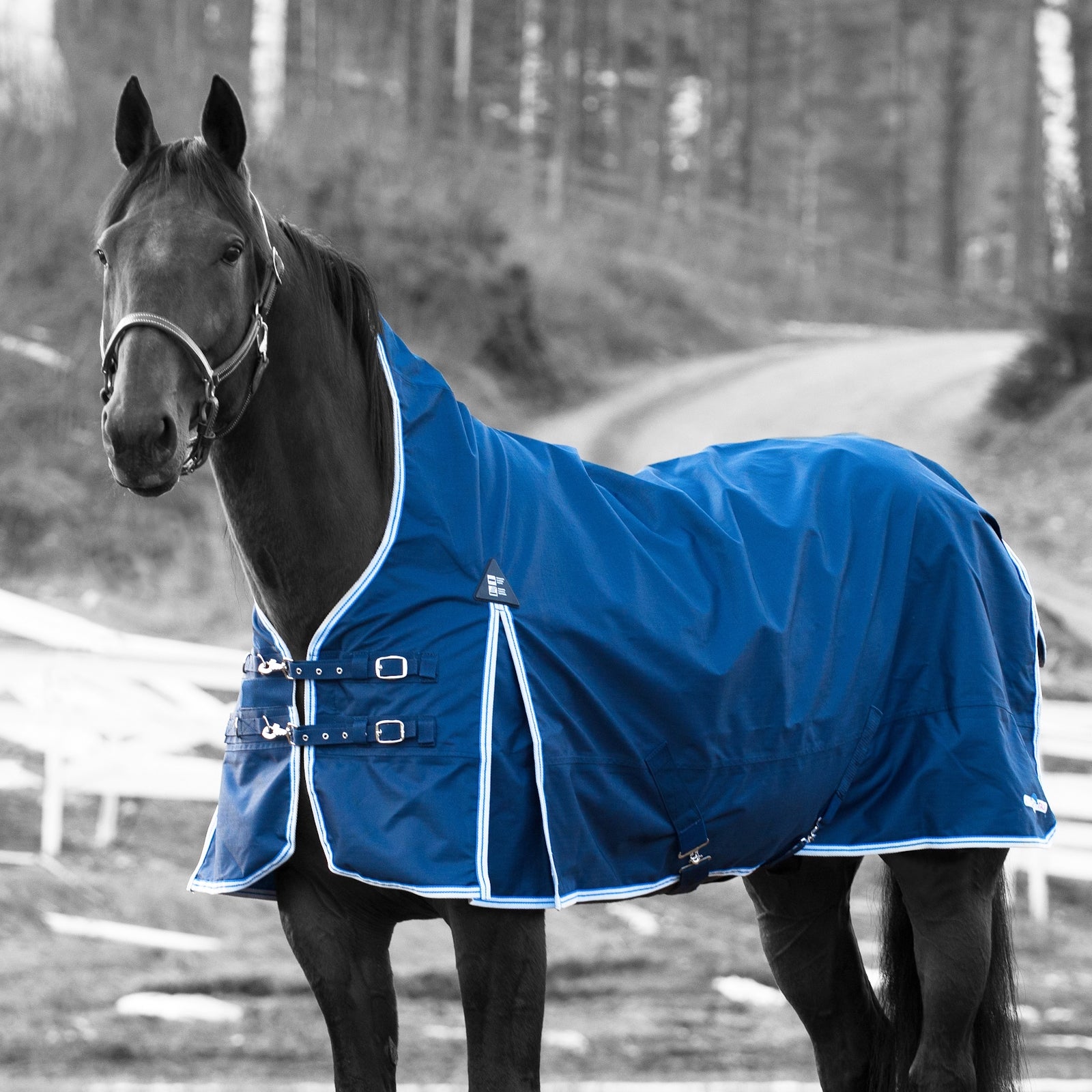 Finntack Couverture de pluie Pro Alaska Couvertures cheval