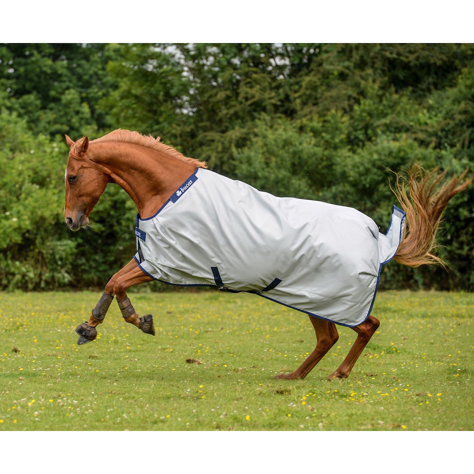 Bucas Couverture Bucas Power Turnout Light Classic Couvertures cheval