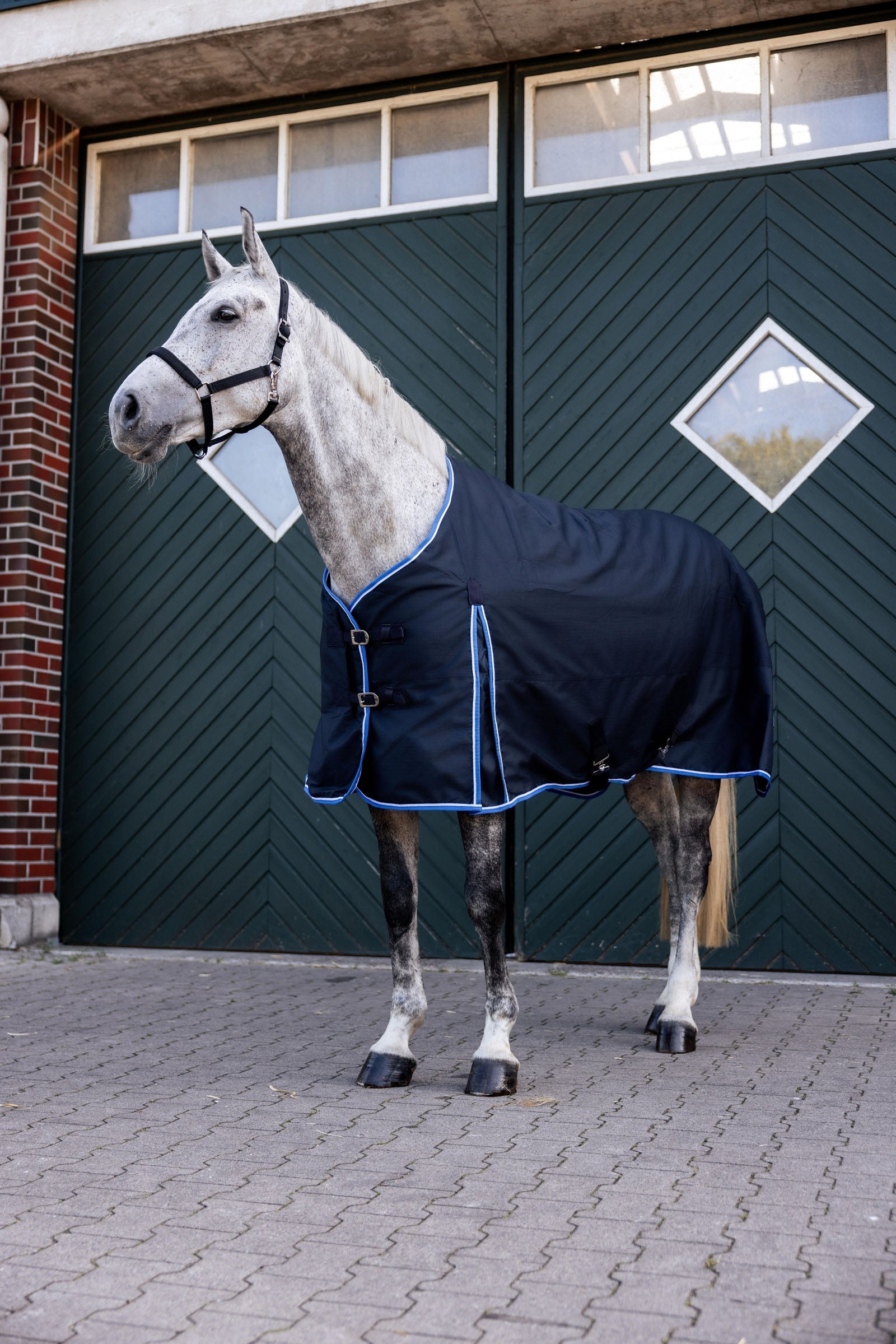 Horze Glasgow Turnout Rug, 350g Horse Rugs