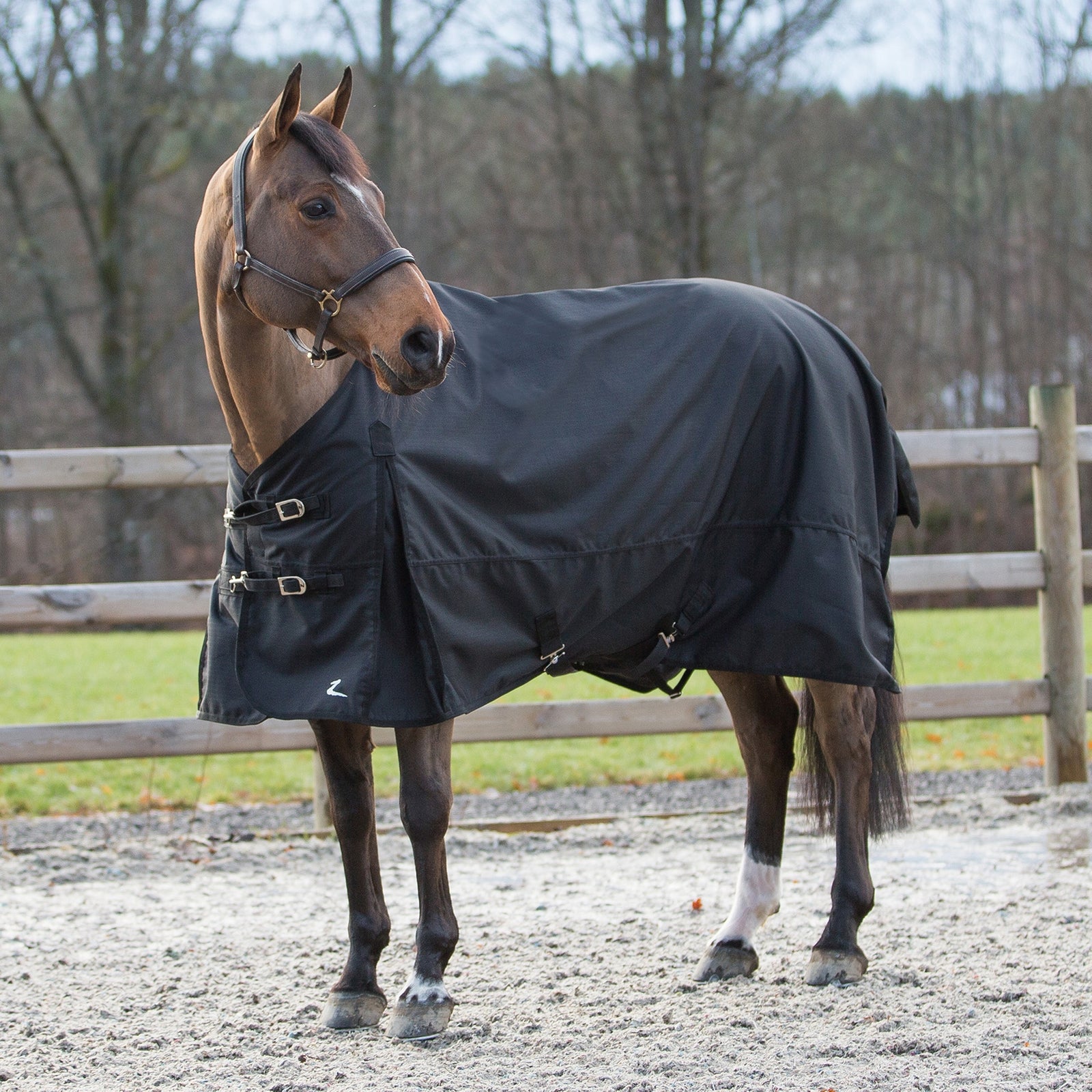 Horze Nevada 1200D Turnout Sheet, 100G Horse Rugs