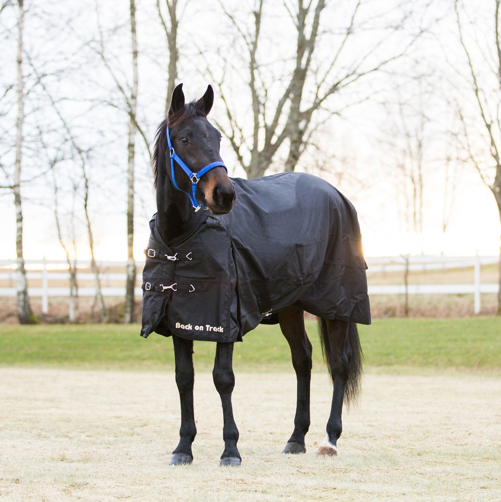Back on Track Couverture imperméable 1680D Couvertures cheval