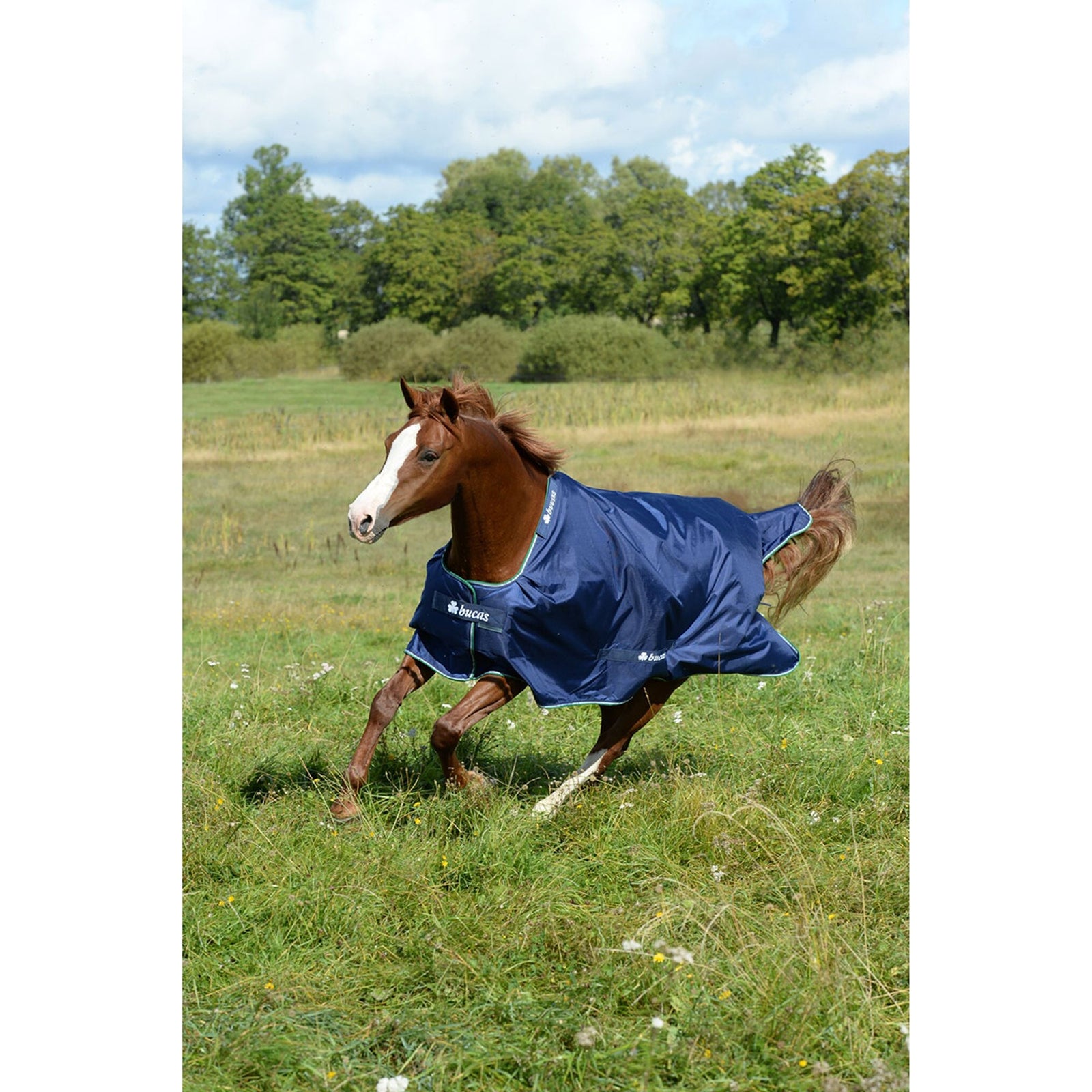 Bucas Couverture Smartex Medium Turnout Couvertures cheval