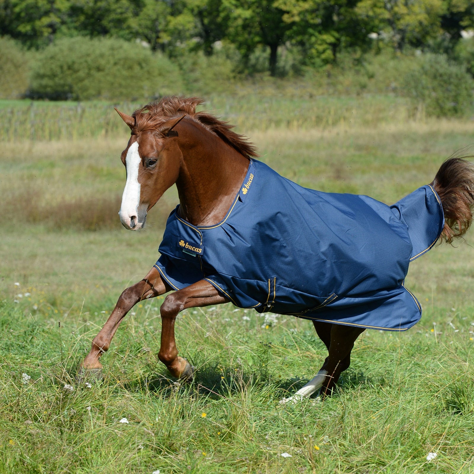 Bucas Couverture d'extérieur Irish Extra, poney Couvertures cheval