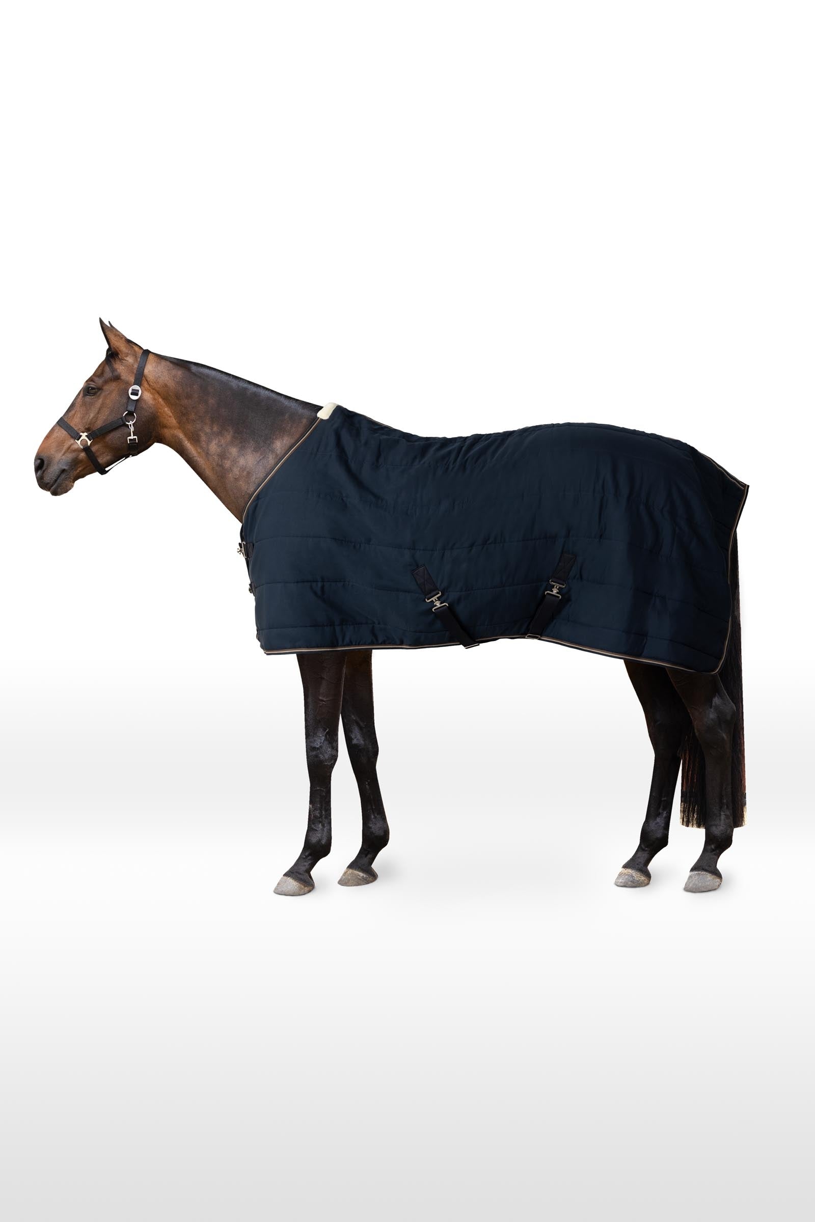 Horze Couverture d'écurie /sous-couche Glasgow, 200g Couvertures cheval