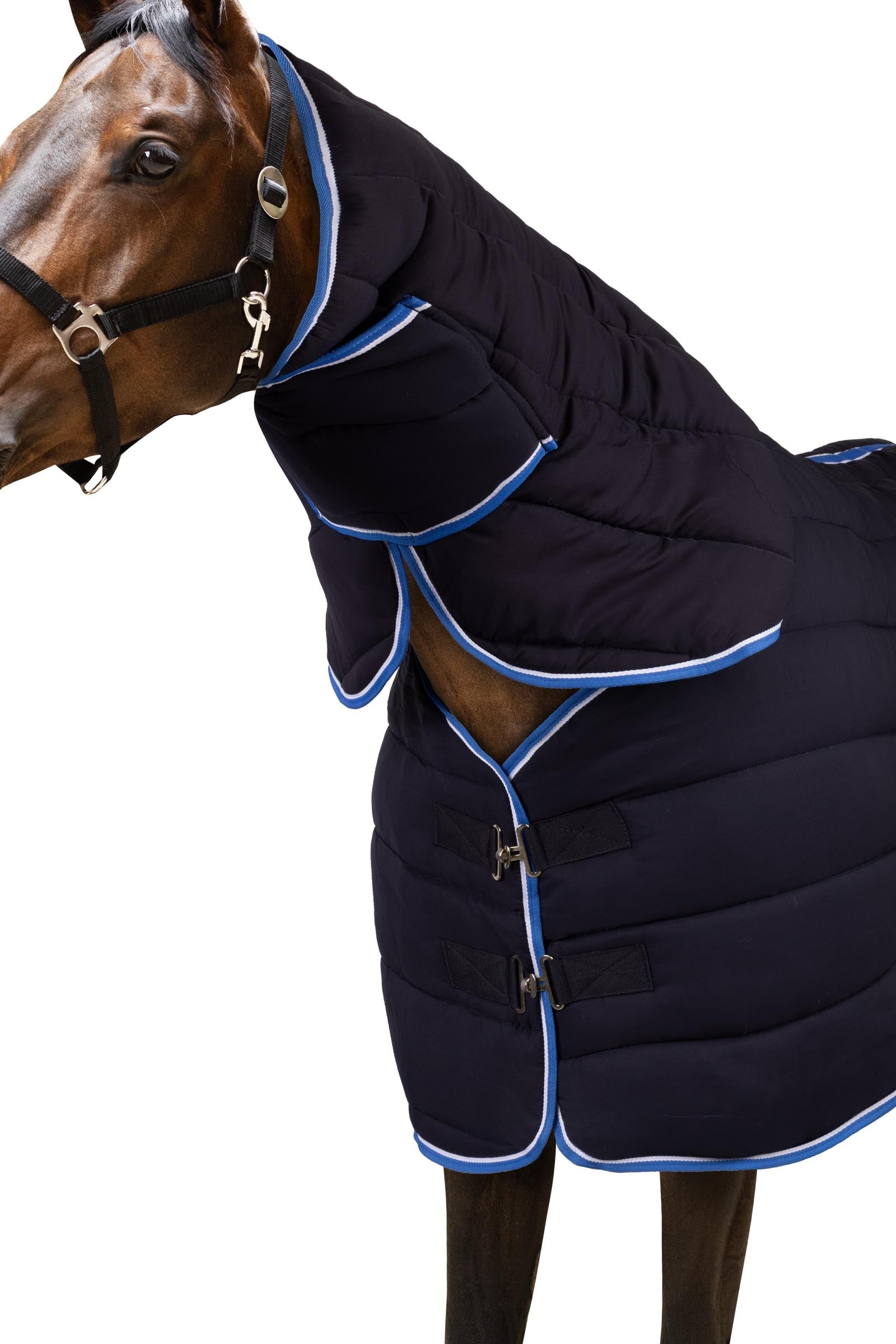 Horze Couverture de pré Crescendo Holbrook (165 cm Horze Couverture de pré Crescendo Holbrook (165 cm